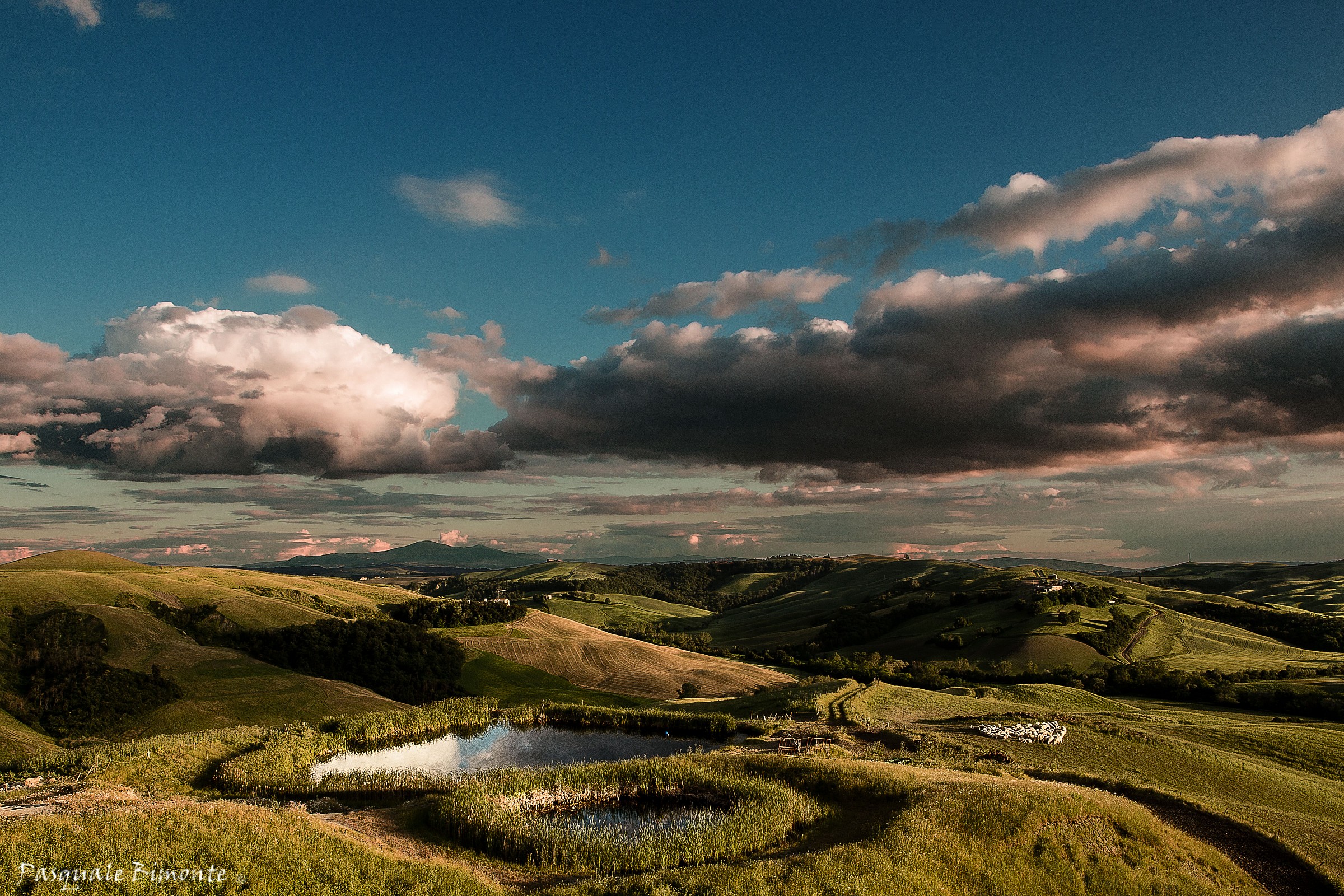 Siena countryside overlooking sull'Amiata