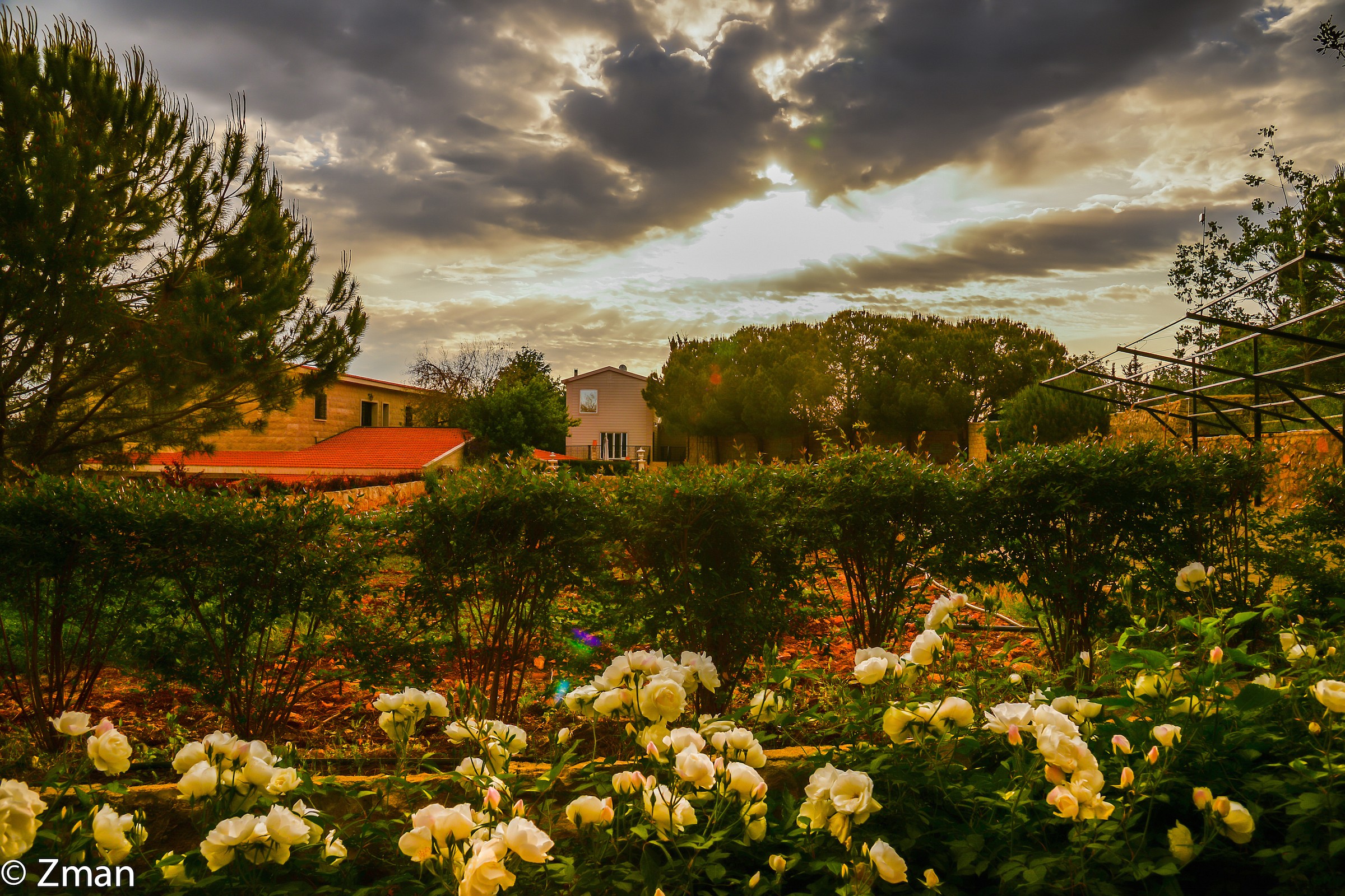 The Newly constructed Gym and The White Roses