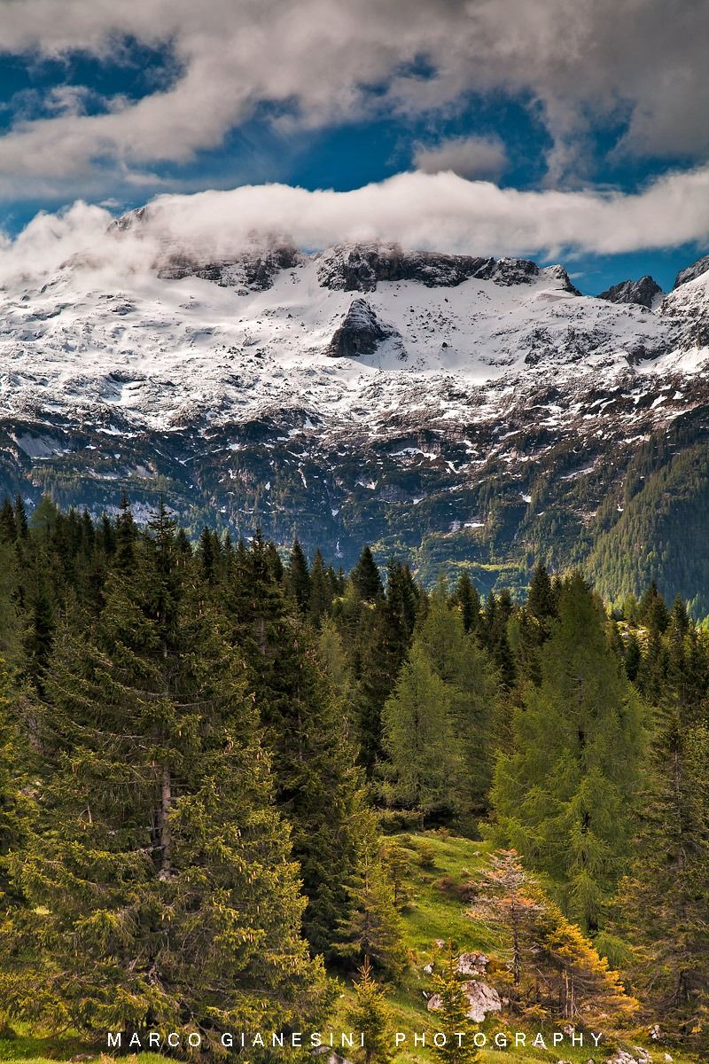 View from the plateau of Montasio