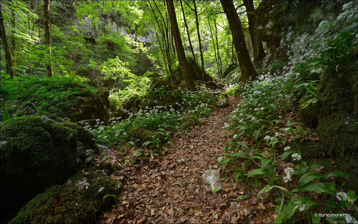 Sul sentiero del Landri Viert