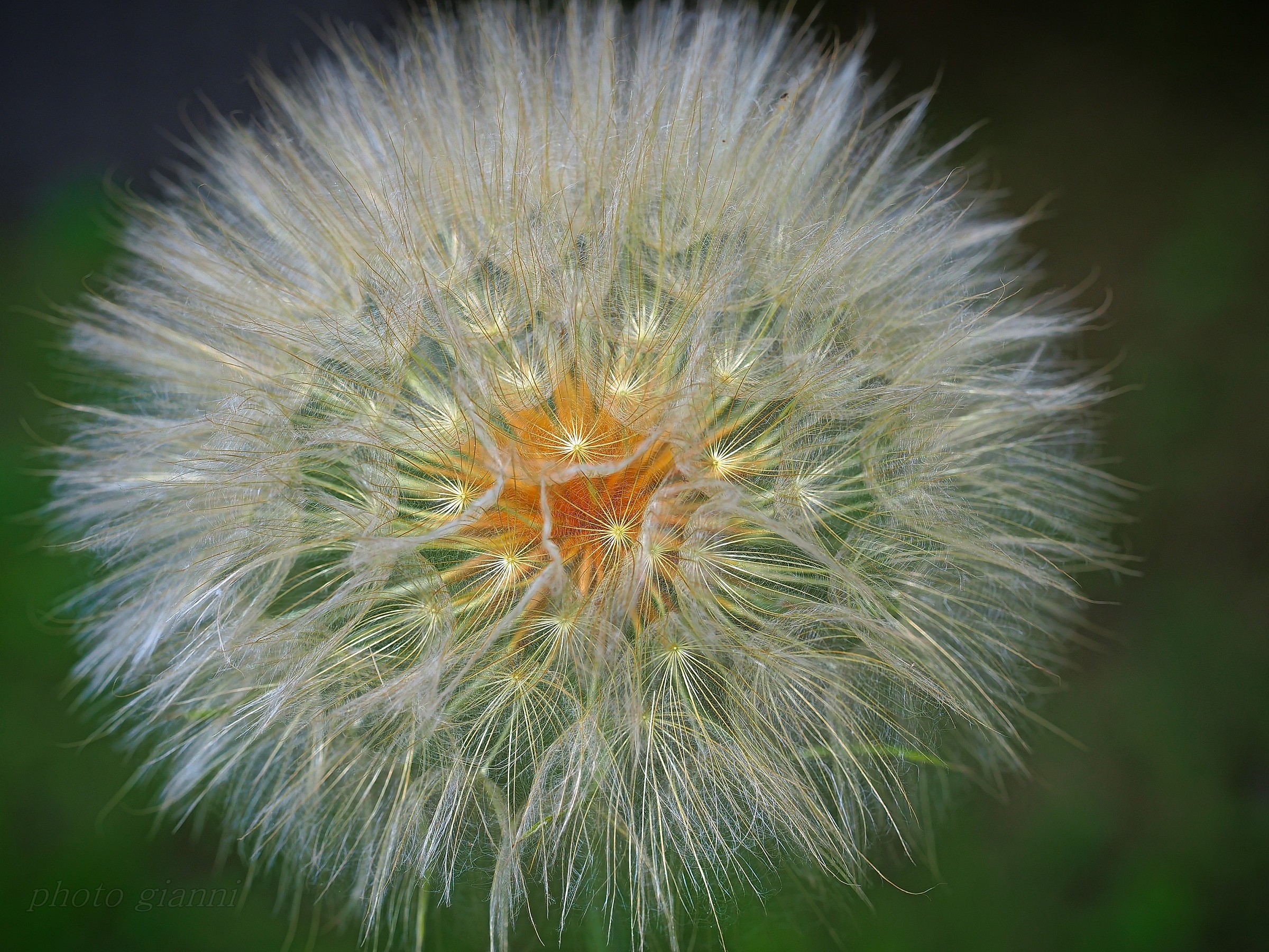 heads like balloons ...