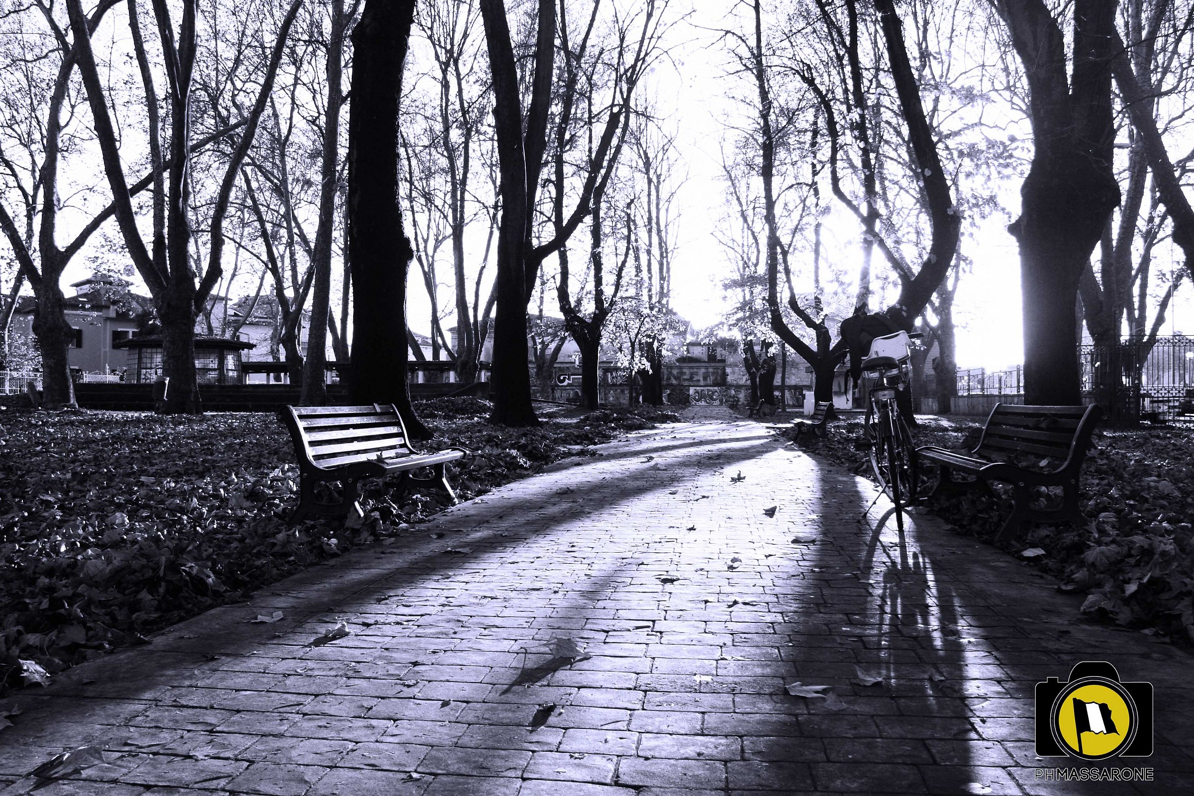 an afternoon autunalle