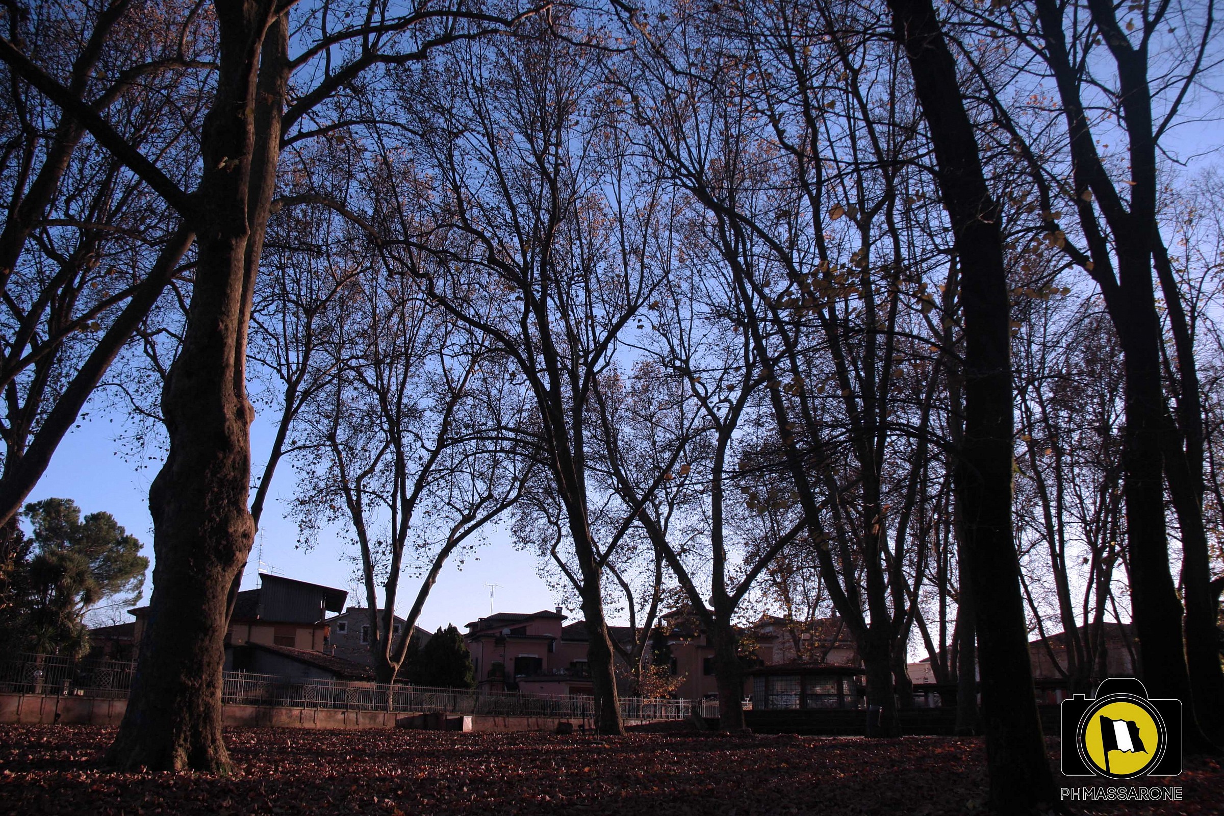 an afternoon autunalle