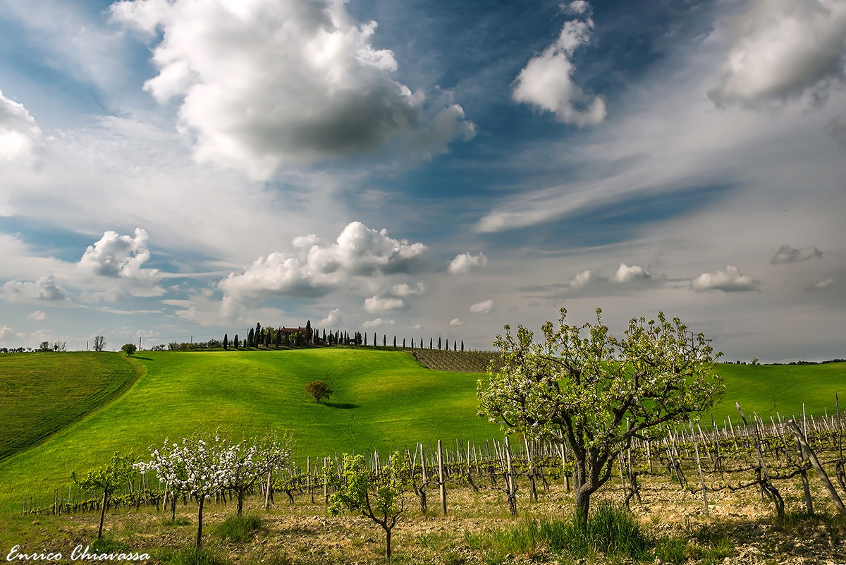 Spring in Val d'Orcia