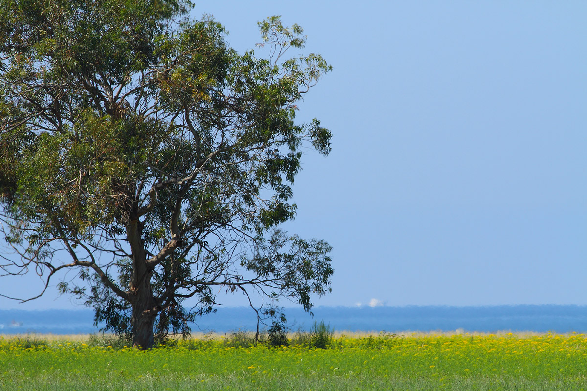 The colors of nature