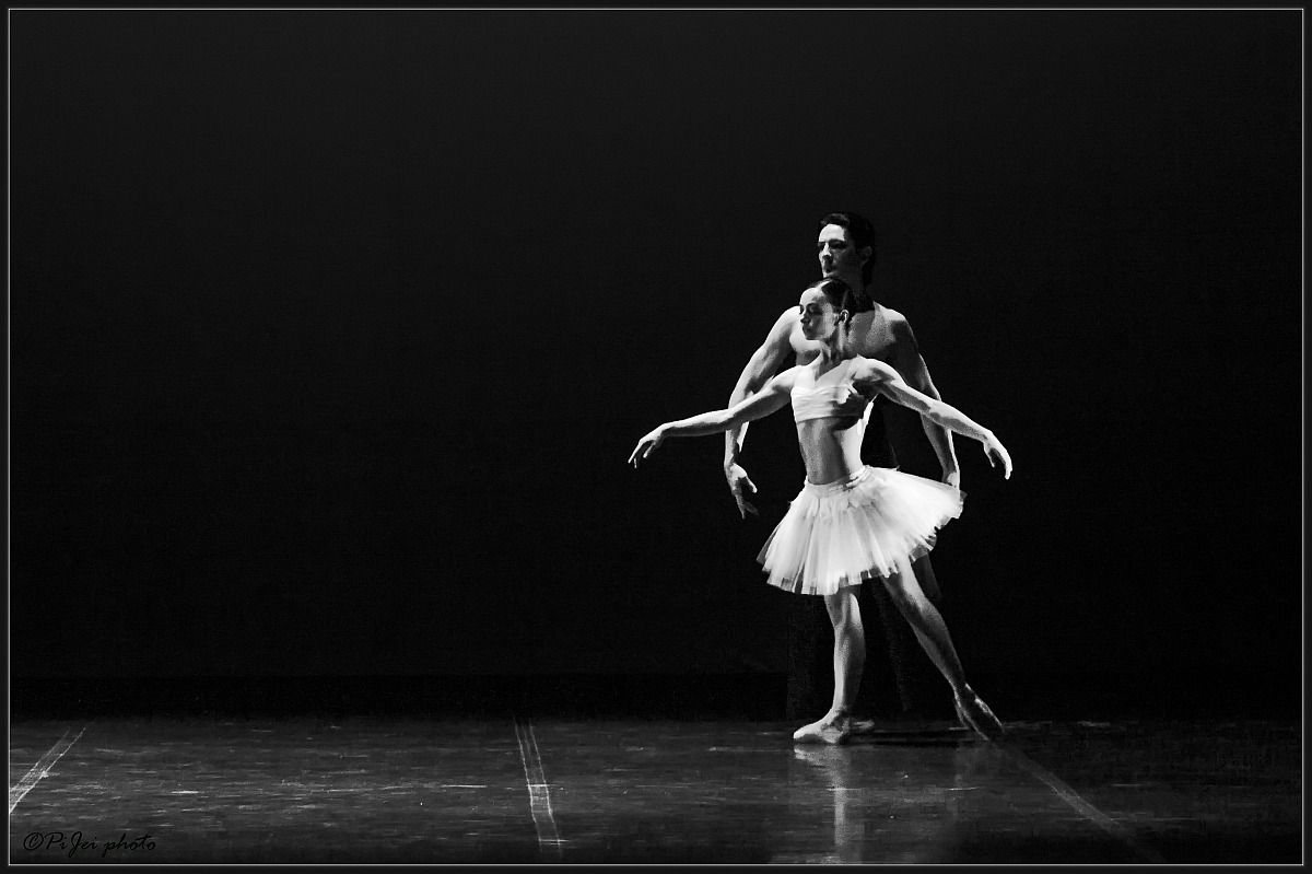 Swan Lake 02