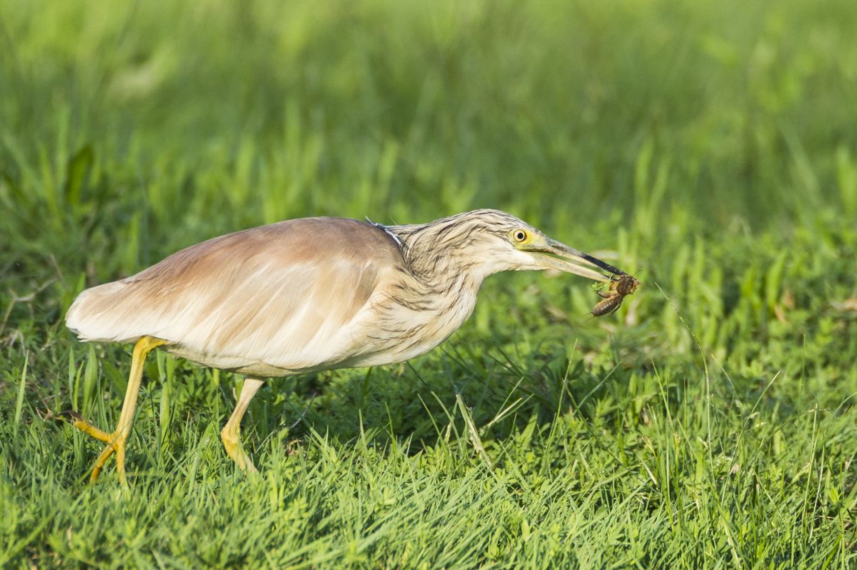 ... e la cena è servita..