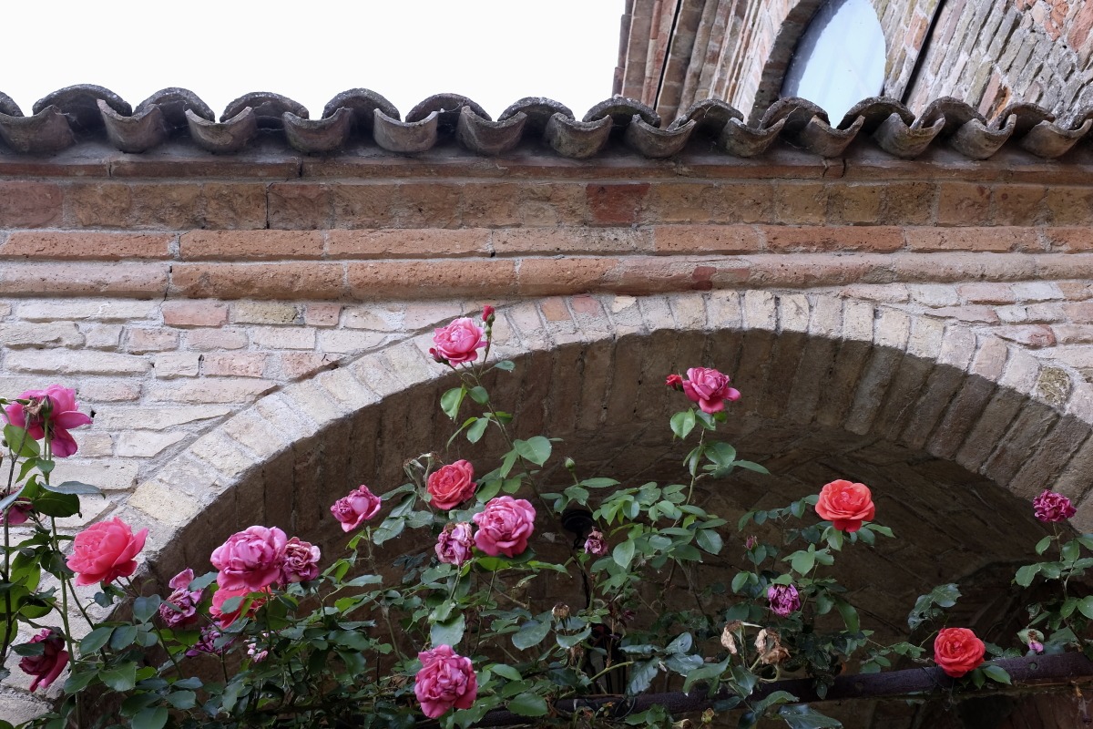 Pieve Dei Campi Bonelli - XII secolo