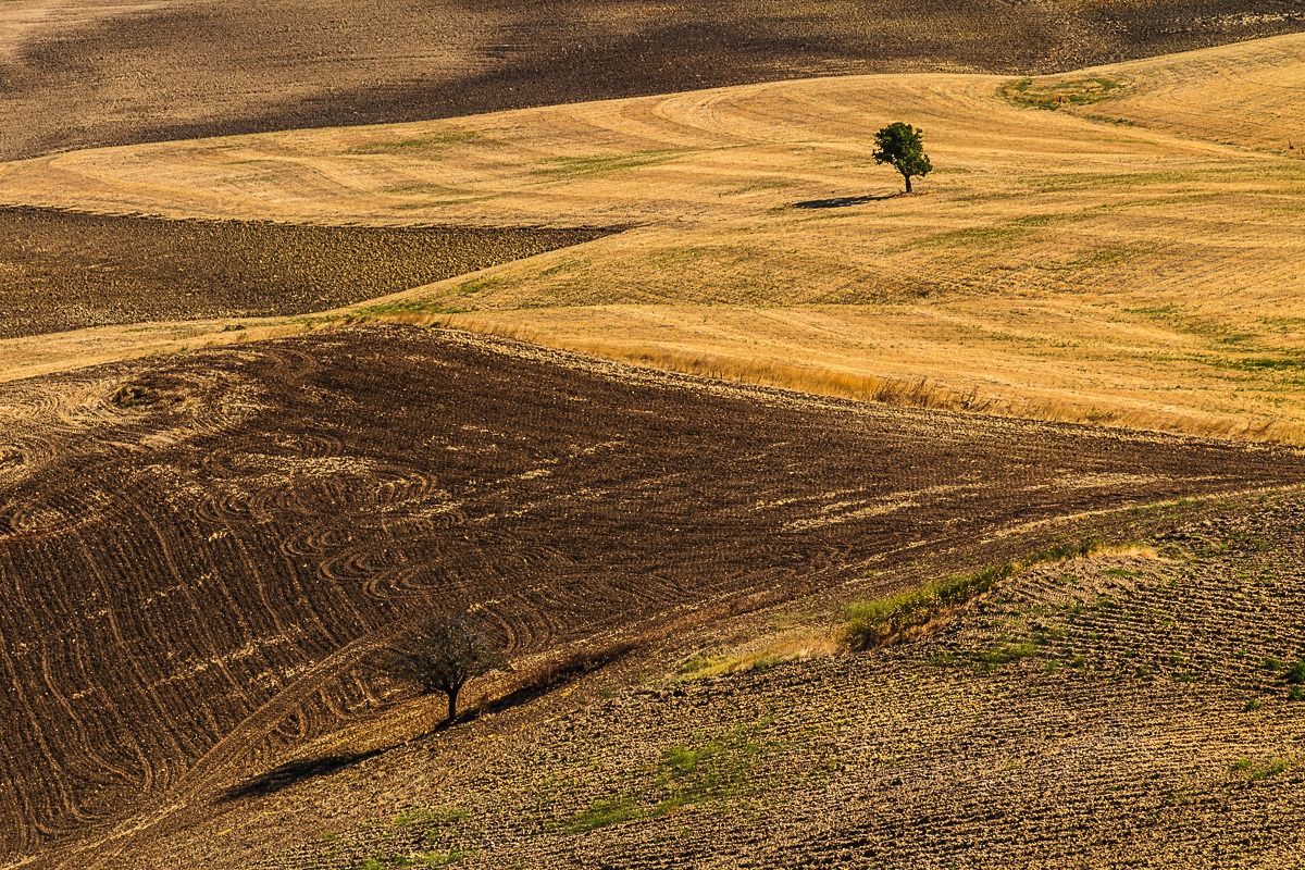 Basilicata, campagna d'agosto 2