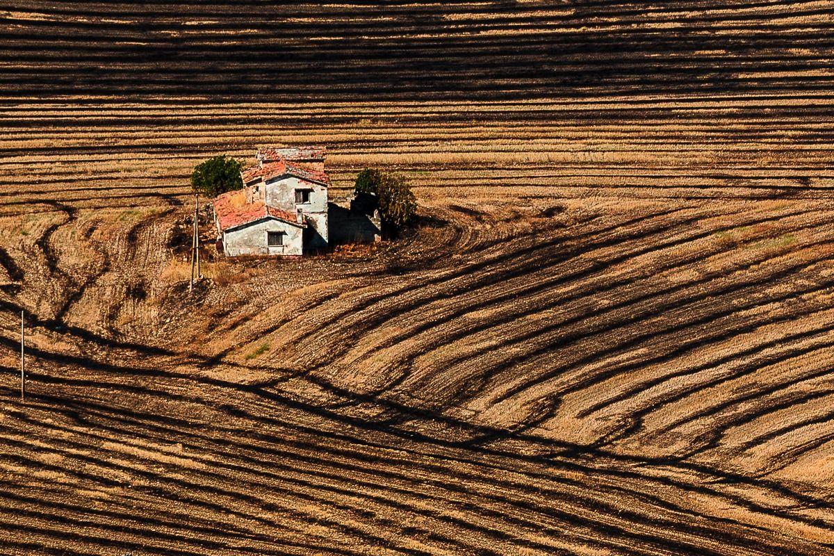Basilicata, campagna d'agosto 4