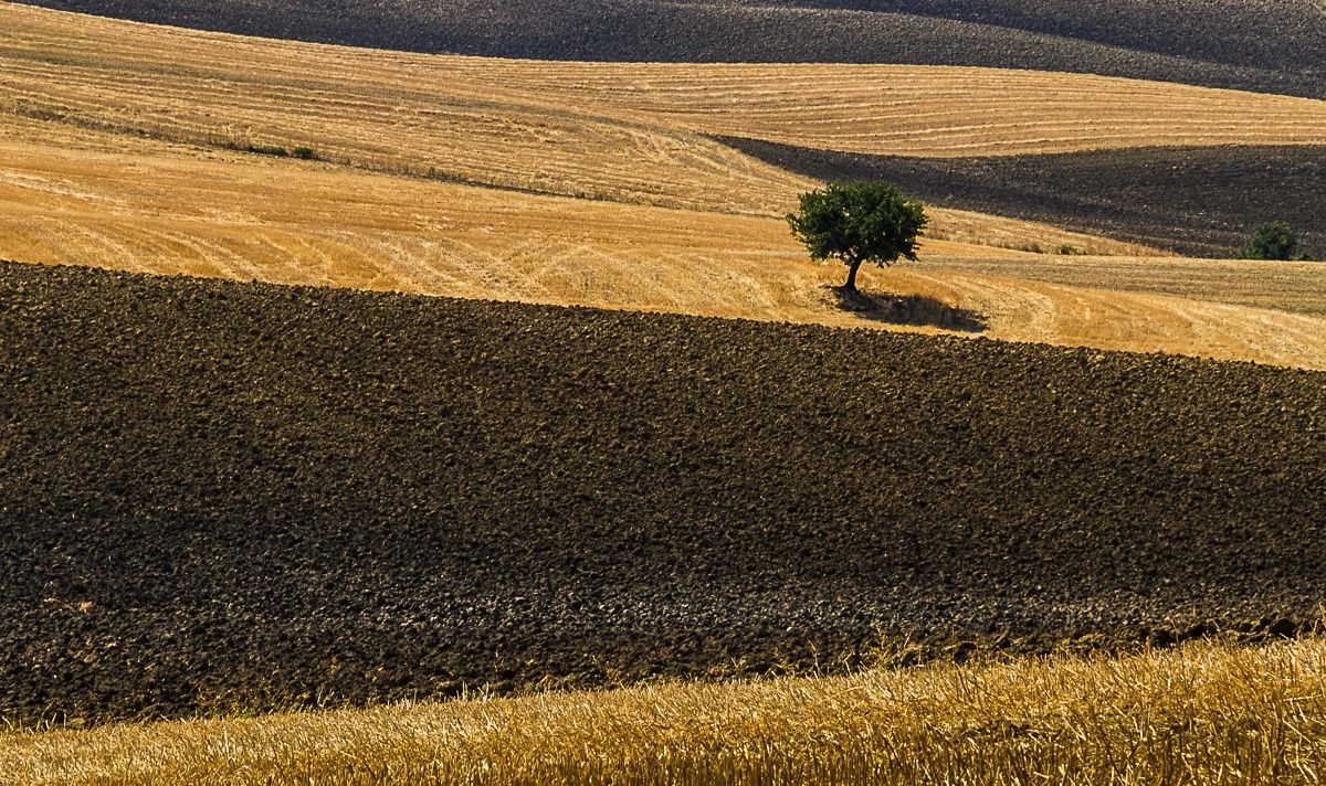 Basilicata, campagna d'agosto 5