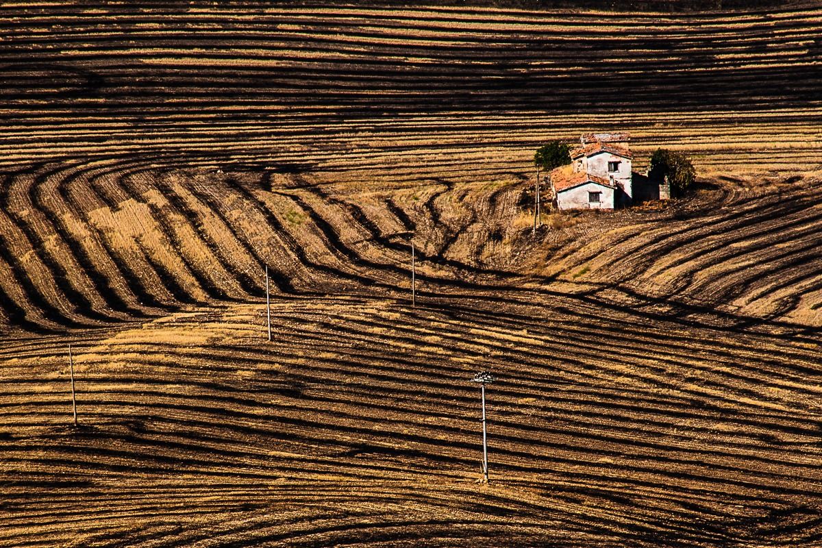 Basilicata, campagna d'agosto 6