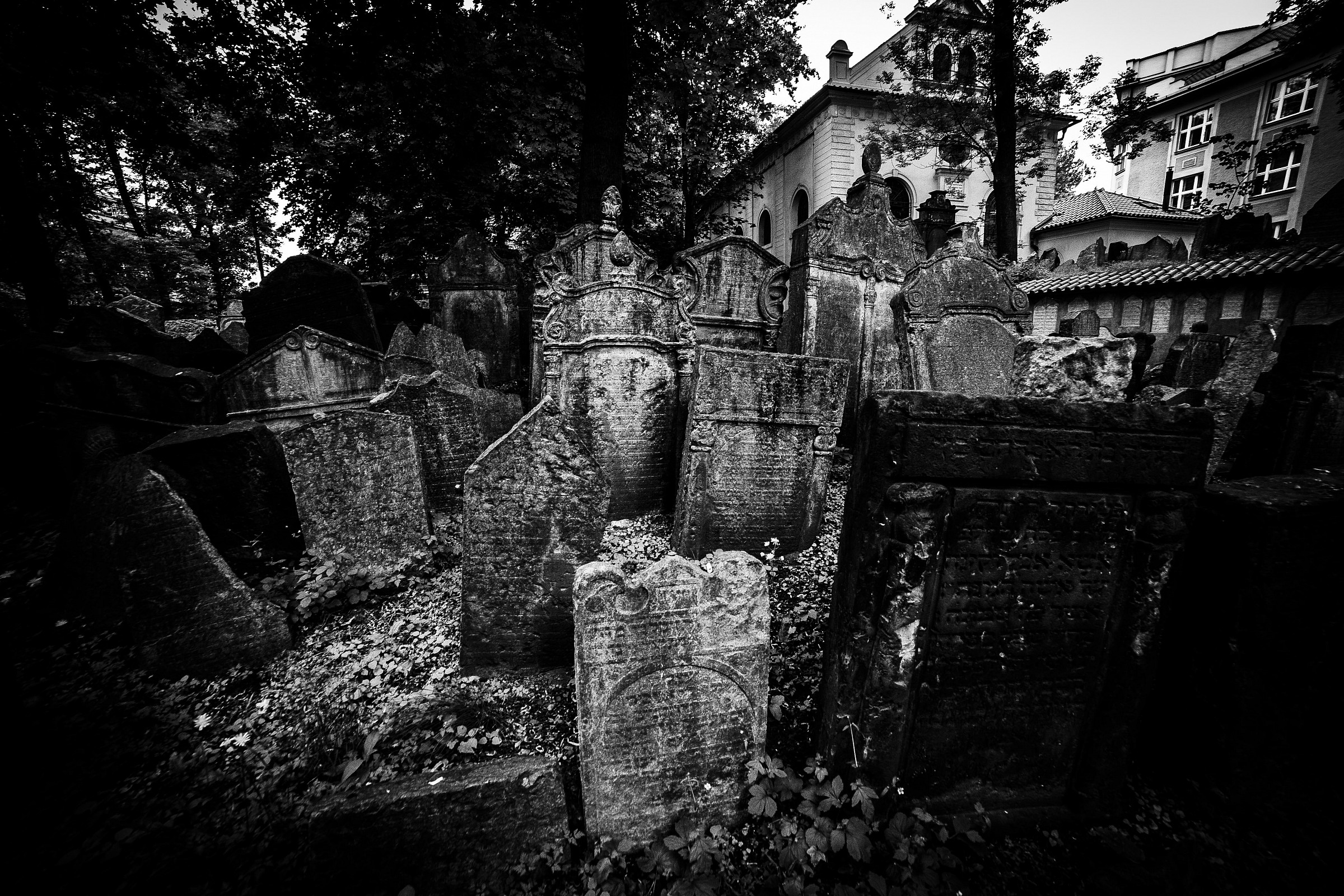 Jewish cemetery
