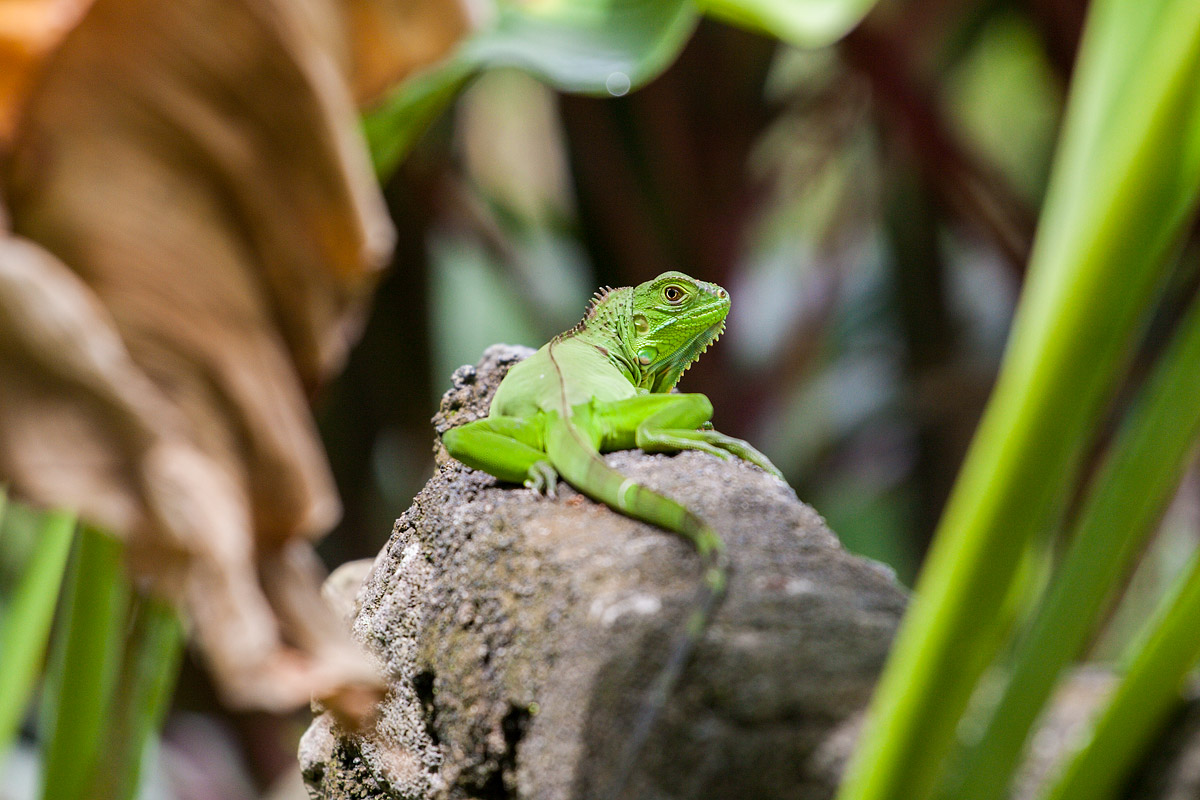 Are you looking at me?