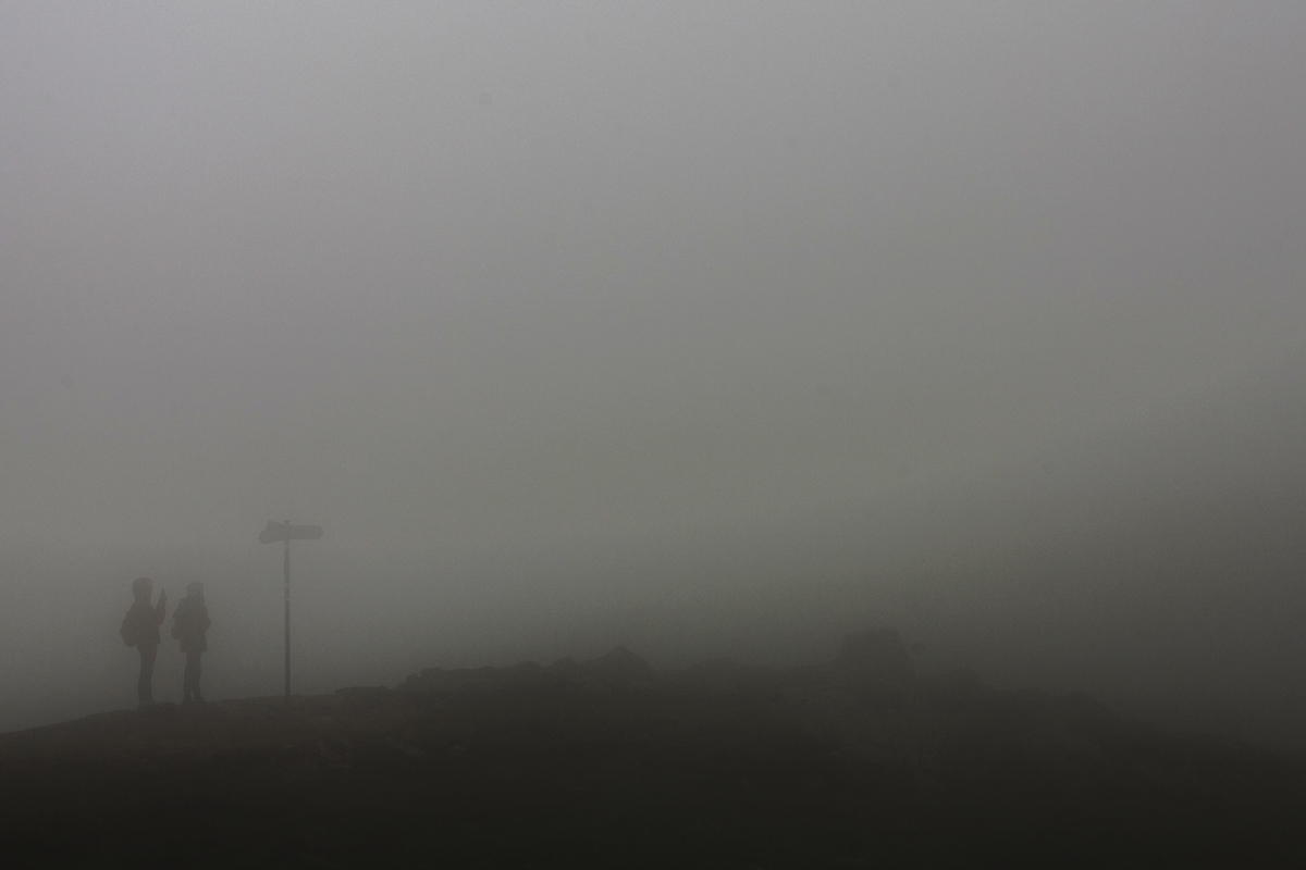 Il sentiero dov'è?!