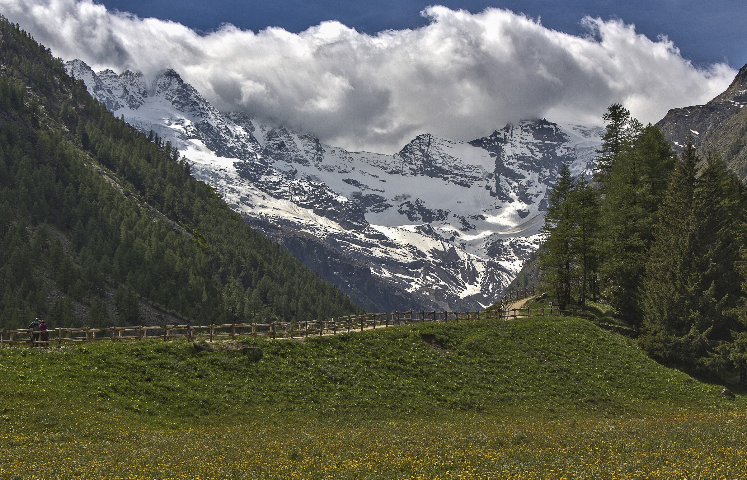 Cogne Gran Paradiso National Park