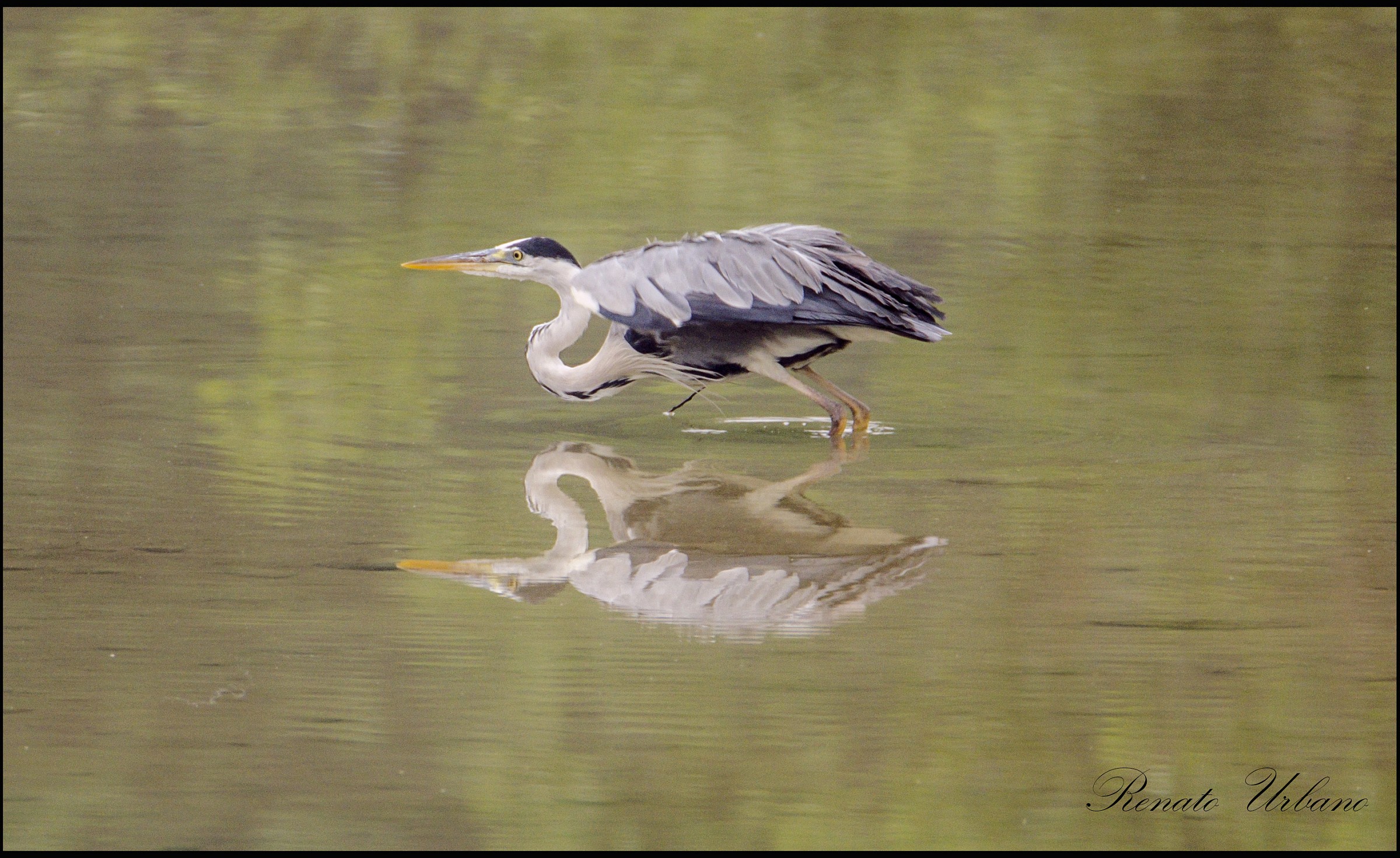 Ready ... viaaaaaaaaaaaaaaaaa