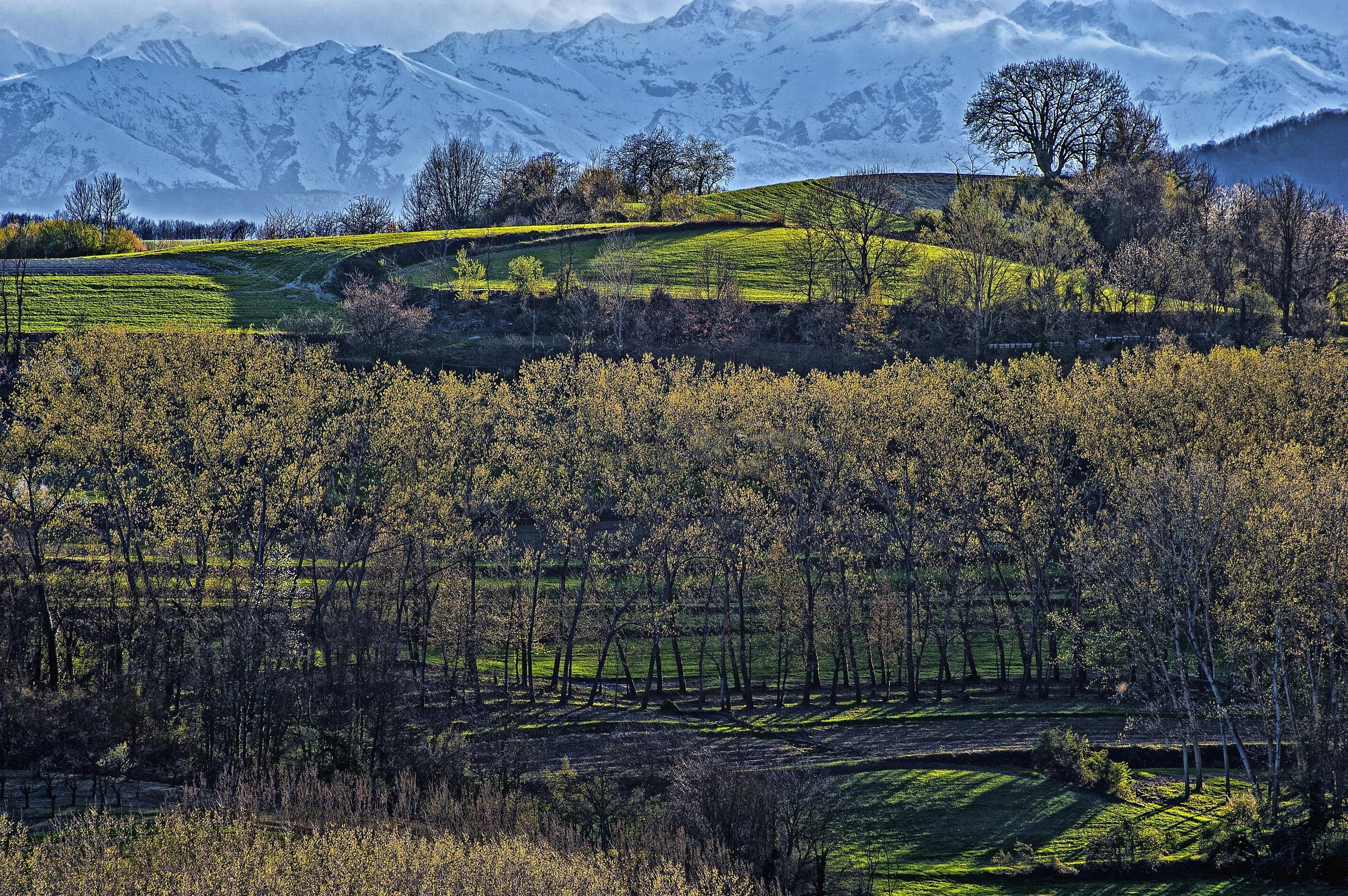 Colline viste da Marentino (To)