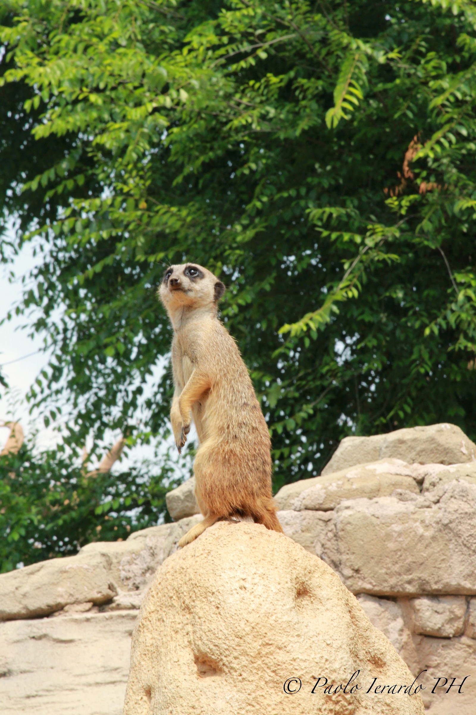 ... I do not miss a thing !!!