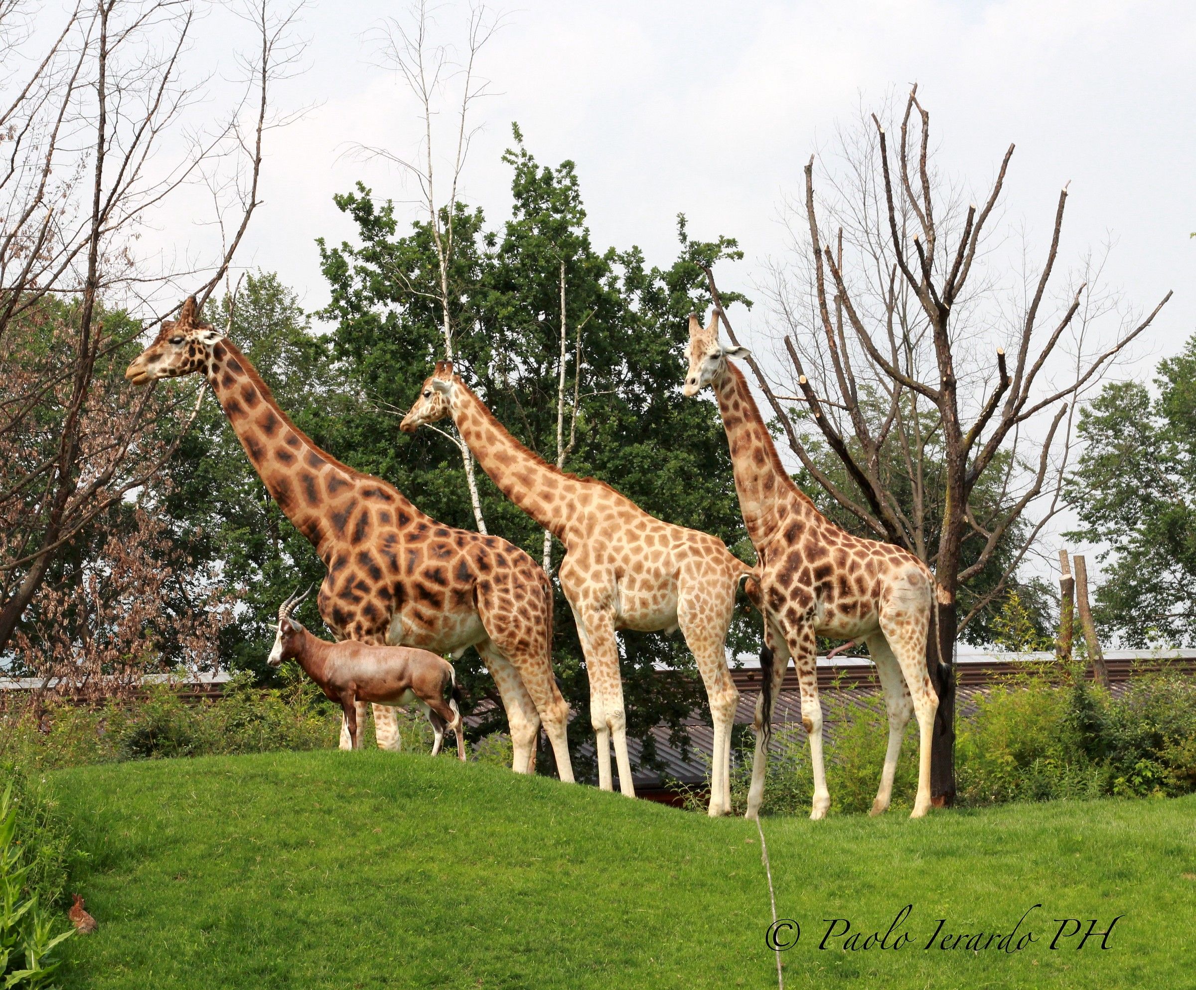 ... I also want to see !!!