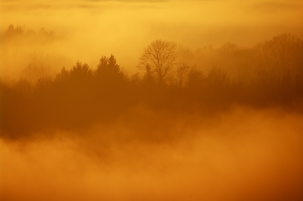 From the cathedral of Belluno