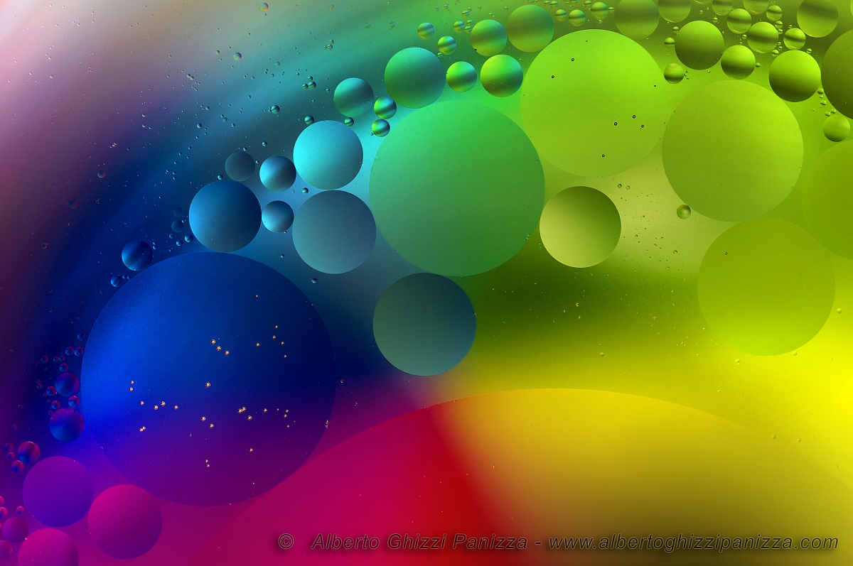 Universo, cellule o olio?