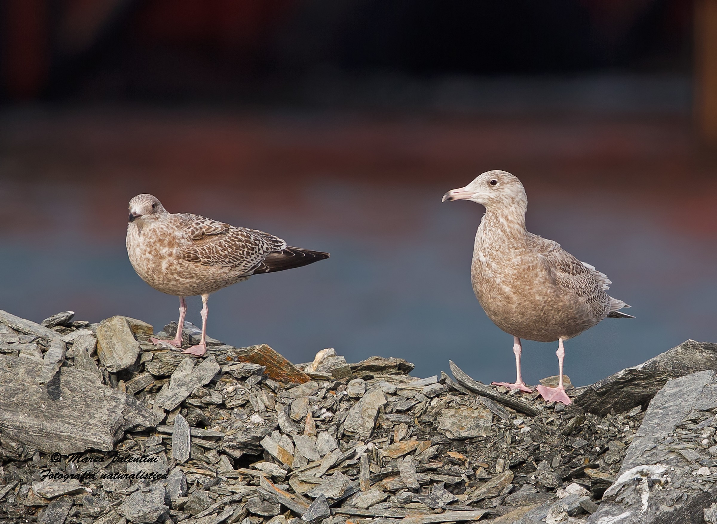 When size matters (when size matters)