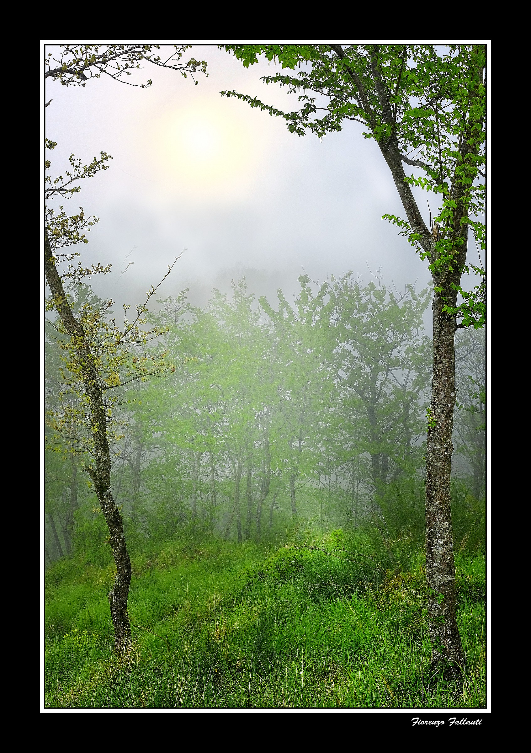 ... Spring in High Apennine