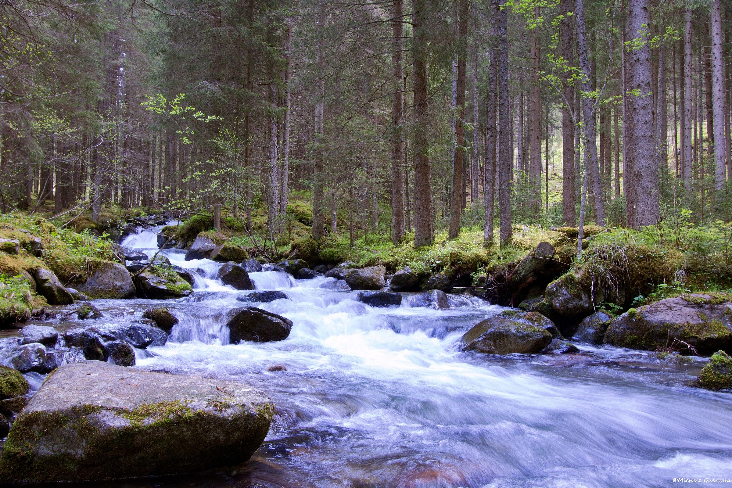 L'estate a Moena è già arrivata