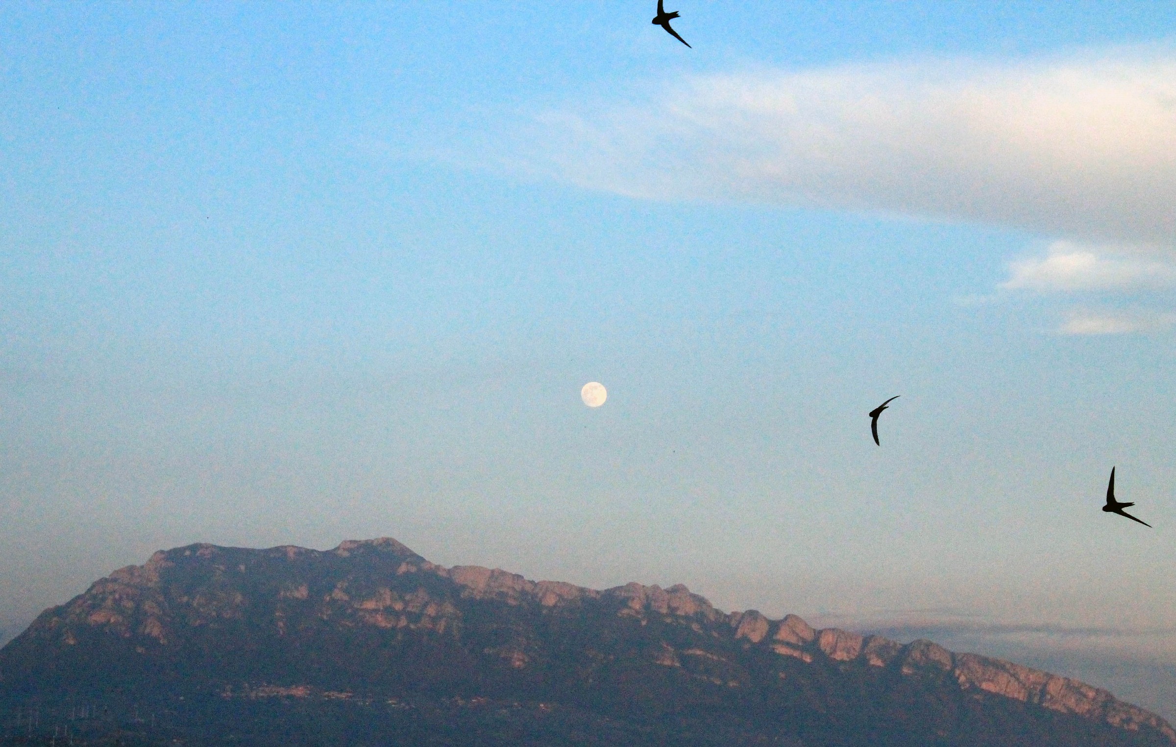 e gli occhi han preso il colore del cielo