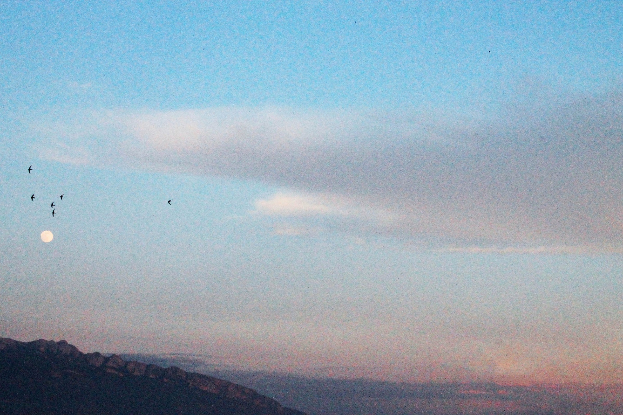 e gli occhi han preso il colore del cielo (2)