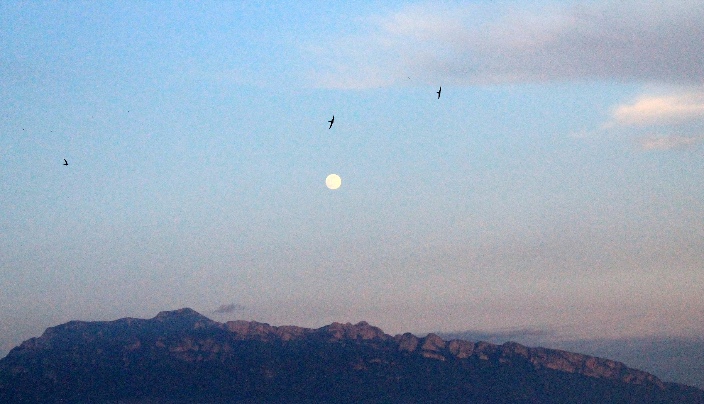 e gli occhi han preso il colore del cielo (3)