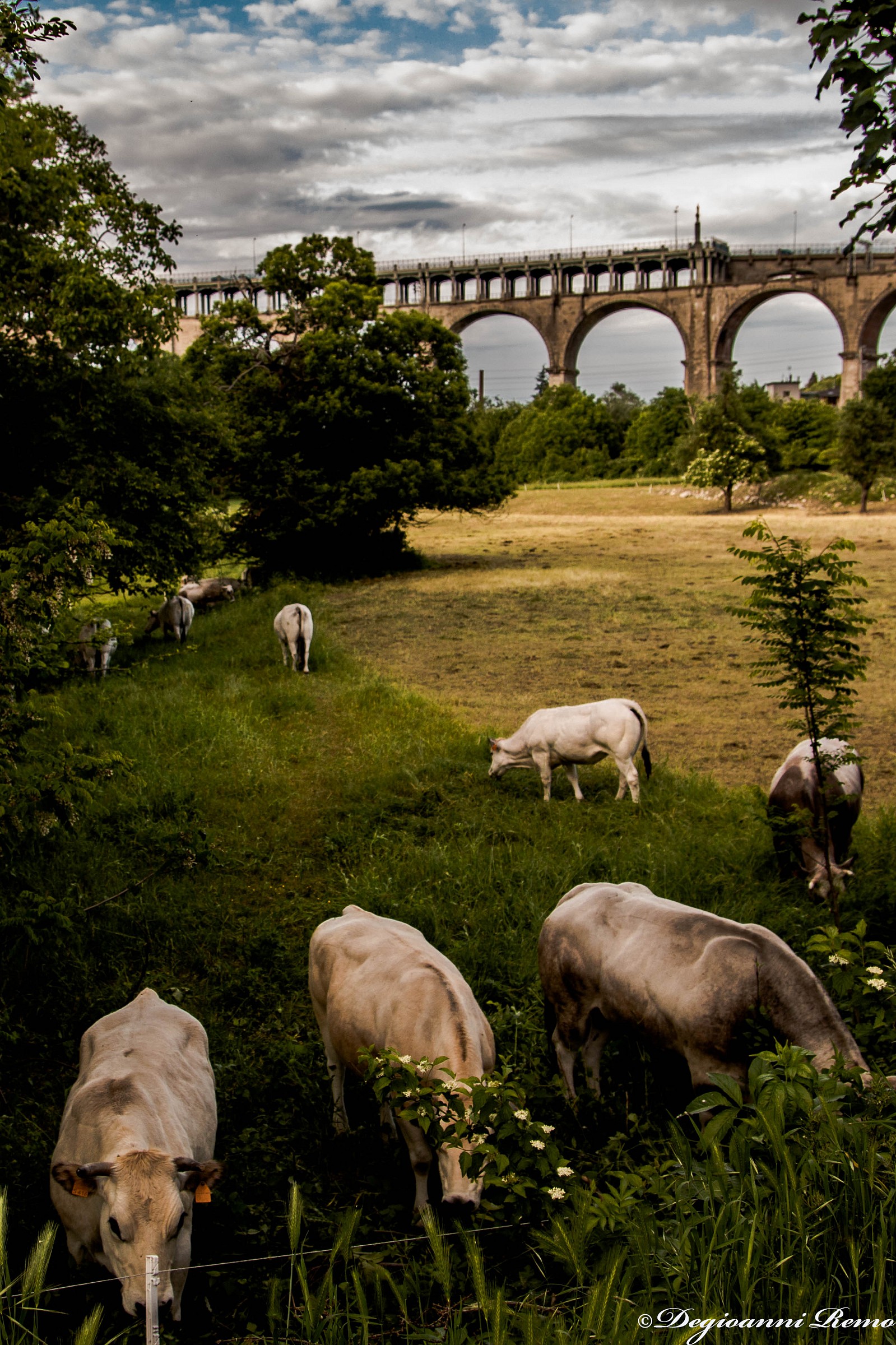 Close Encounters of the Third Kind