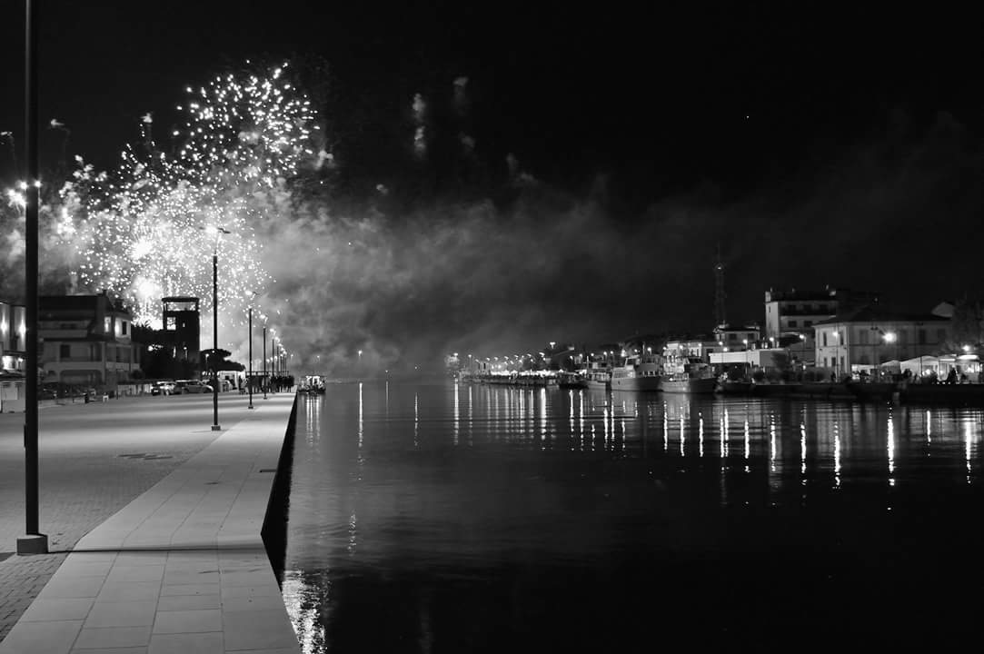 fireworks festival sepia and mantis shrimp