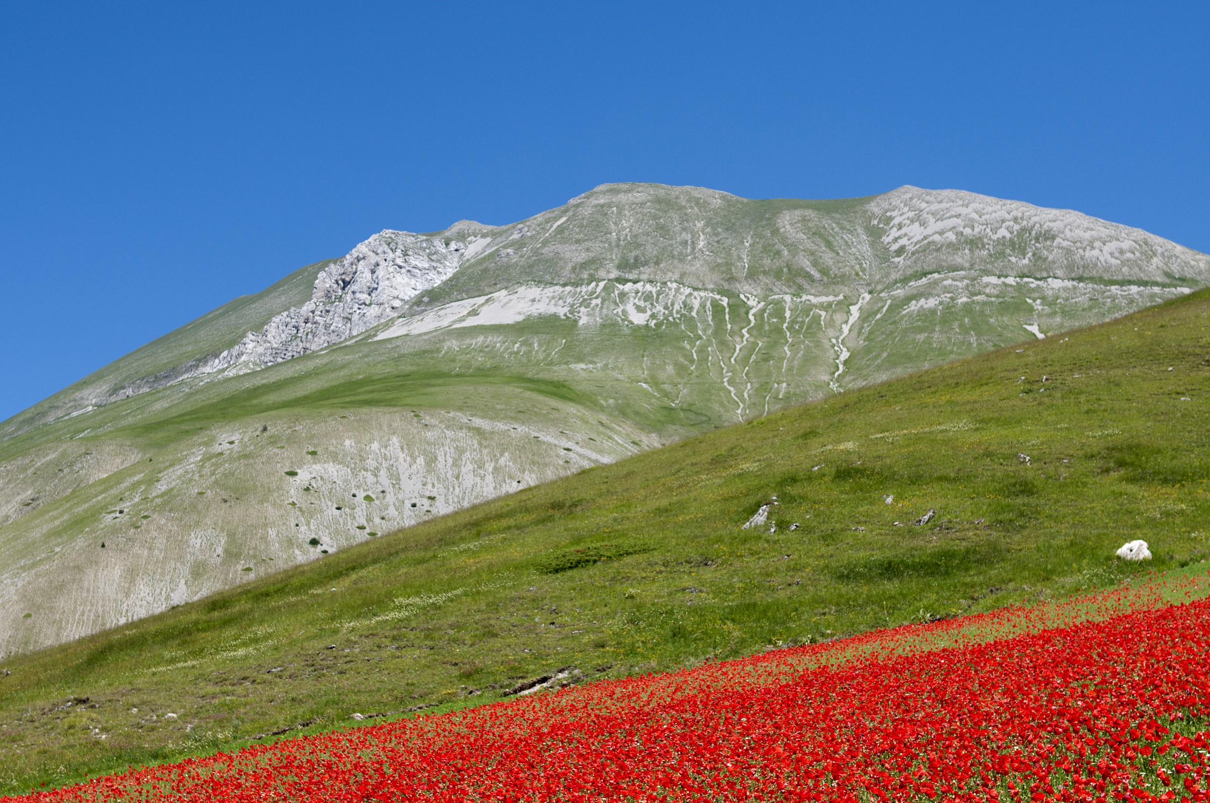 Castelluccio ...Monte Vettore. ..