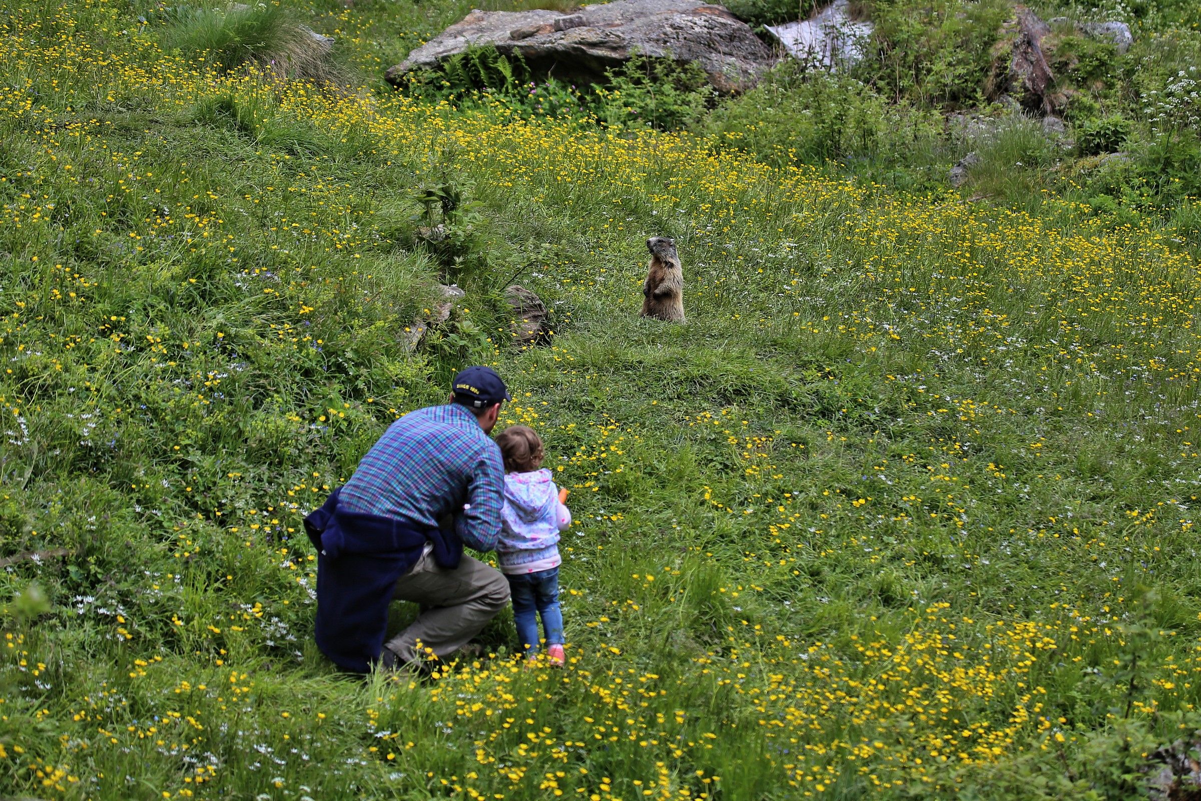 meeting with the groundhog