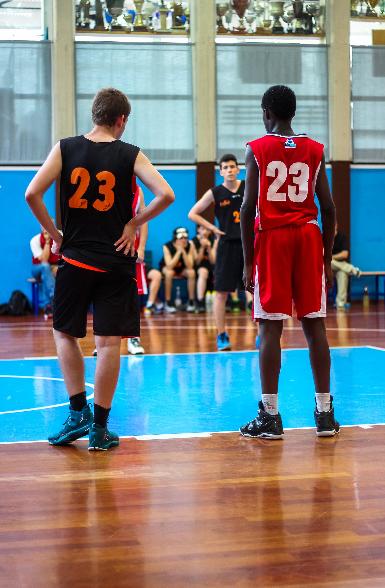 23: Non sembrano molto diversi...