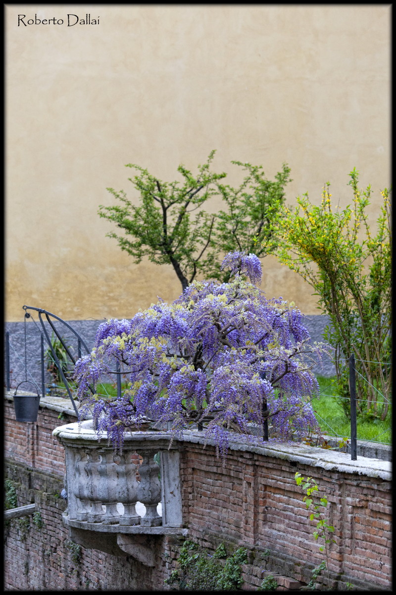 Terrazza che si affaccia sul Rio di Mantova