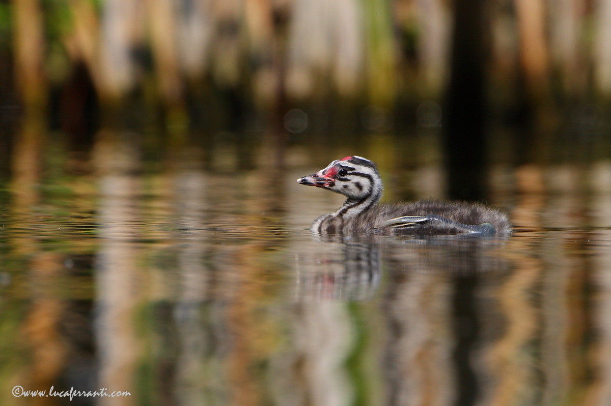 When I was young......