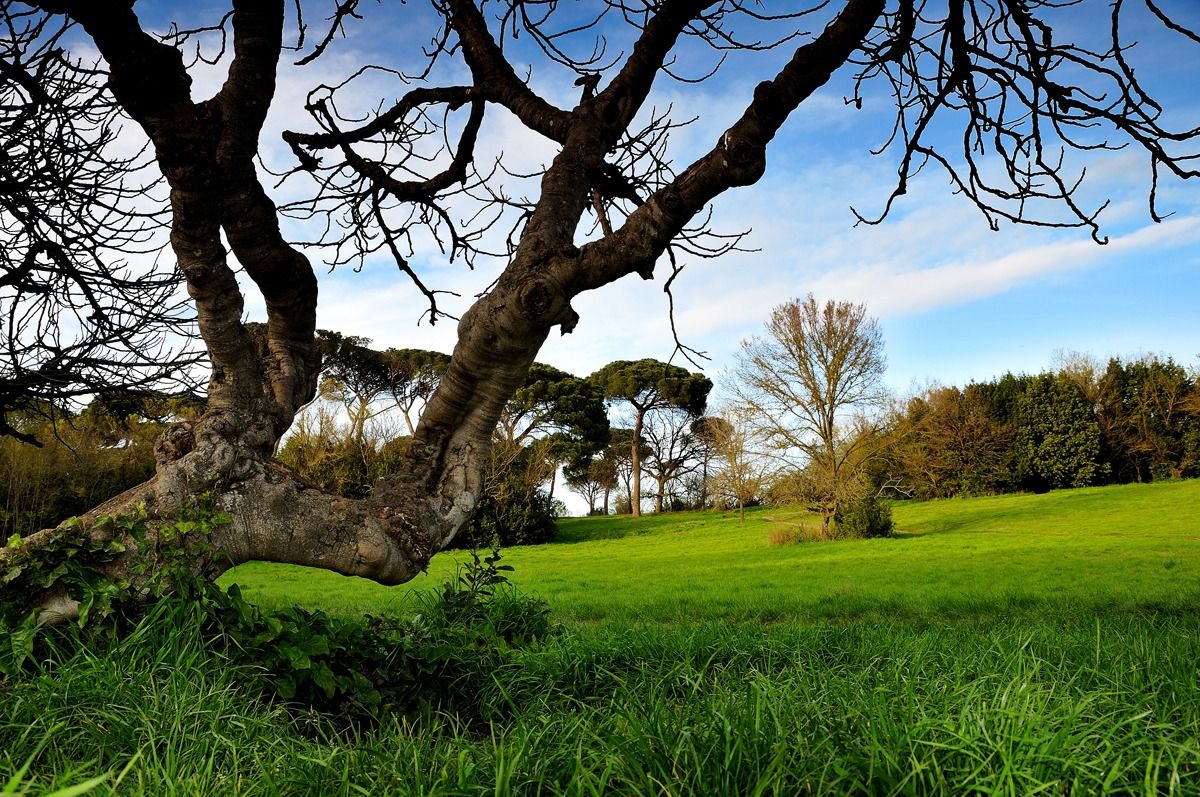 Villa Doria Pamphili - Rome 20140308