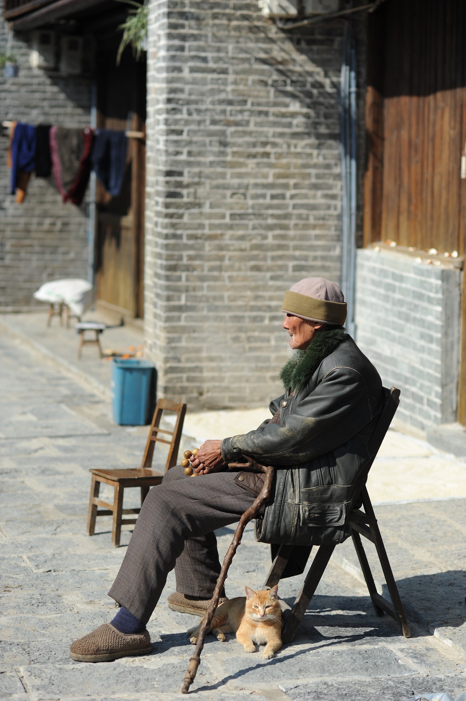 Vecchietto e gattino cinesi a Xingpingzhen