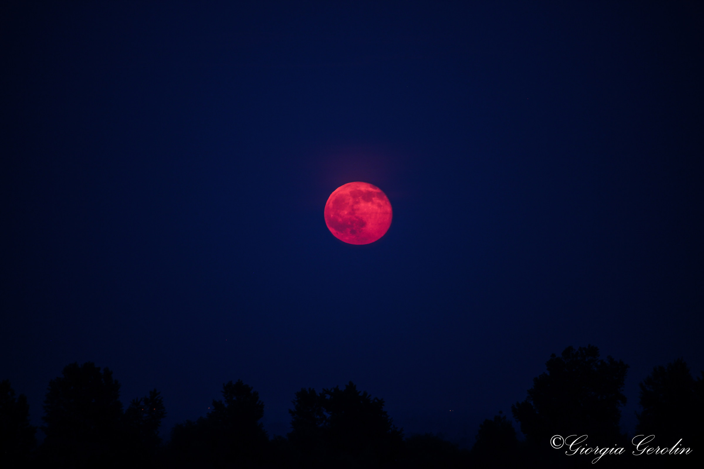 Luna Rosa - Strawberry Moon