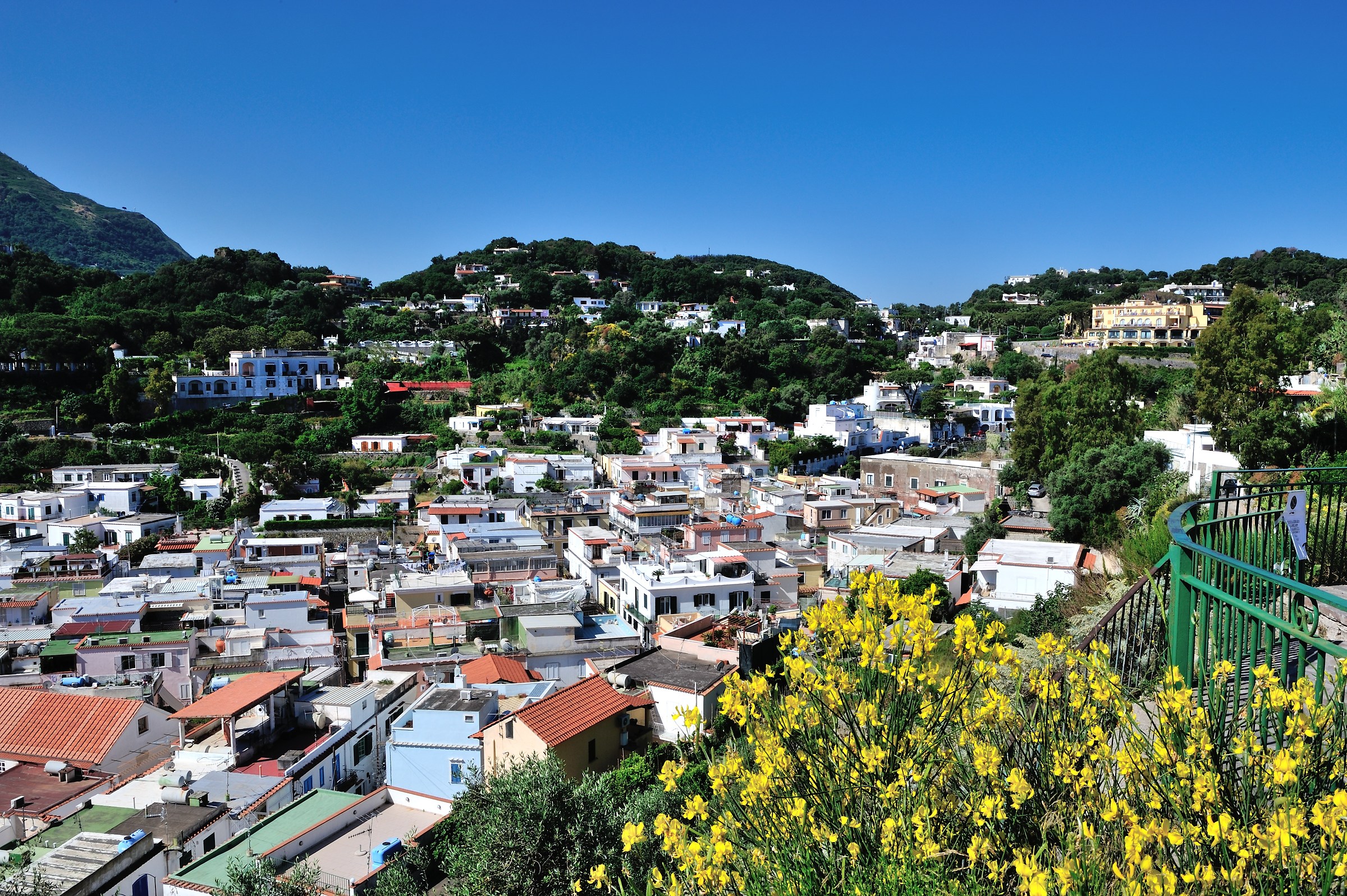 Lacco Ameno-Ischia (Na)