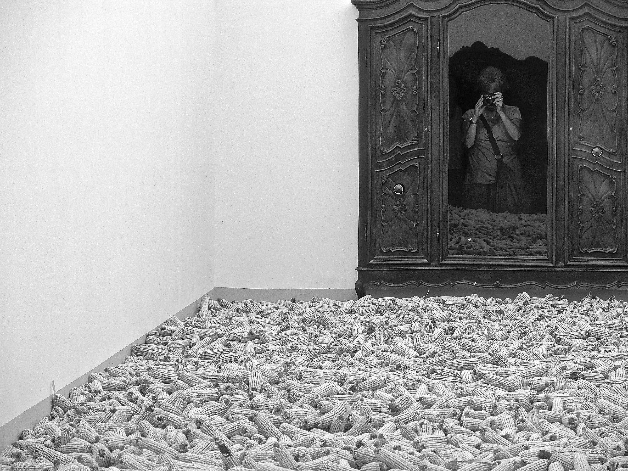 chiusa in un armadio, contemplo l'oro del mondo