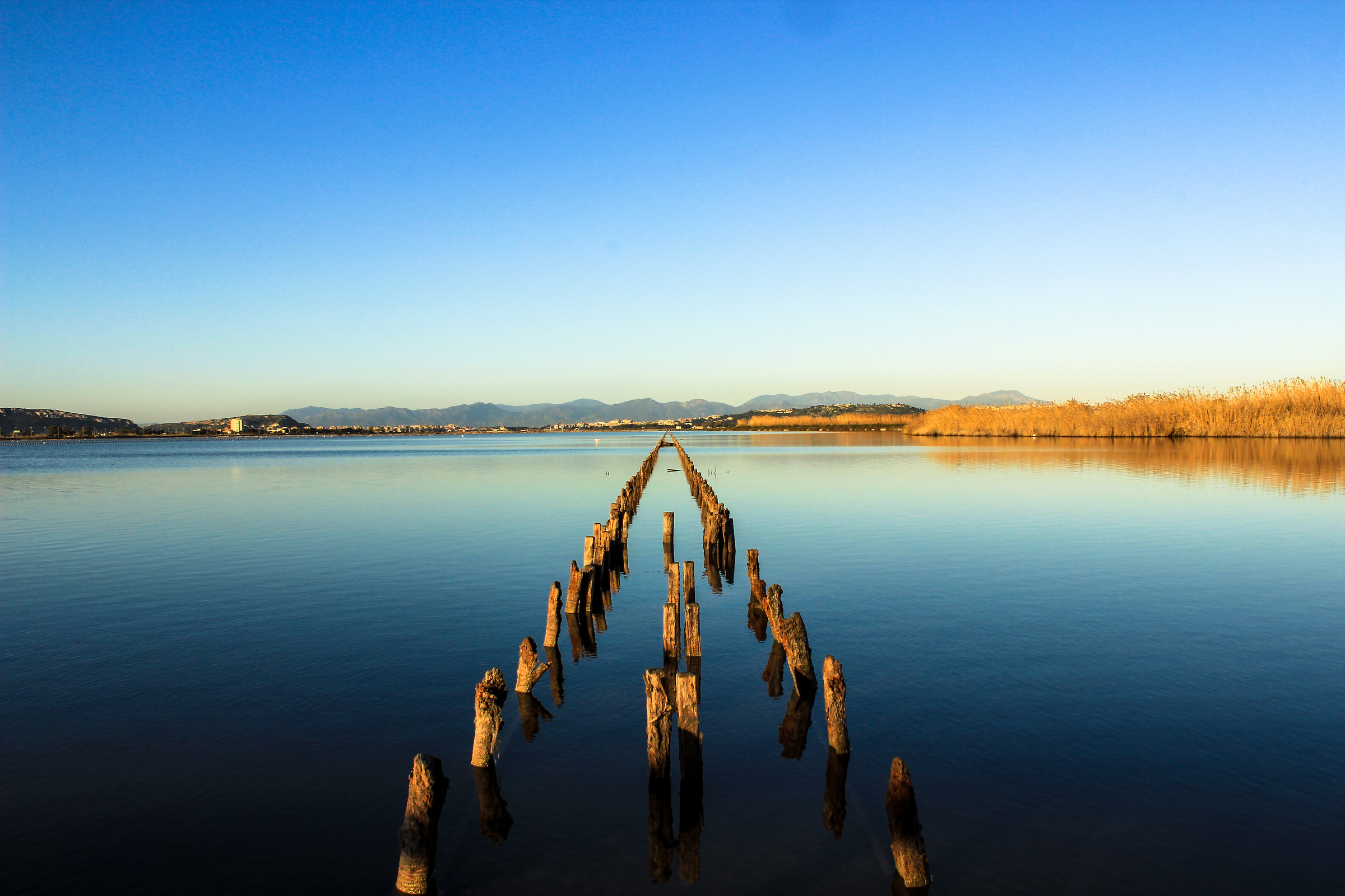 Molentargius ... calm