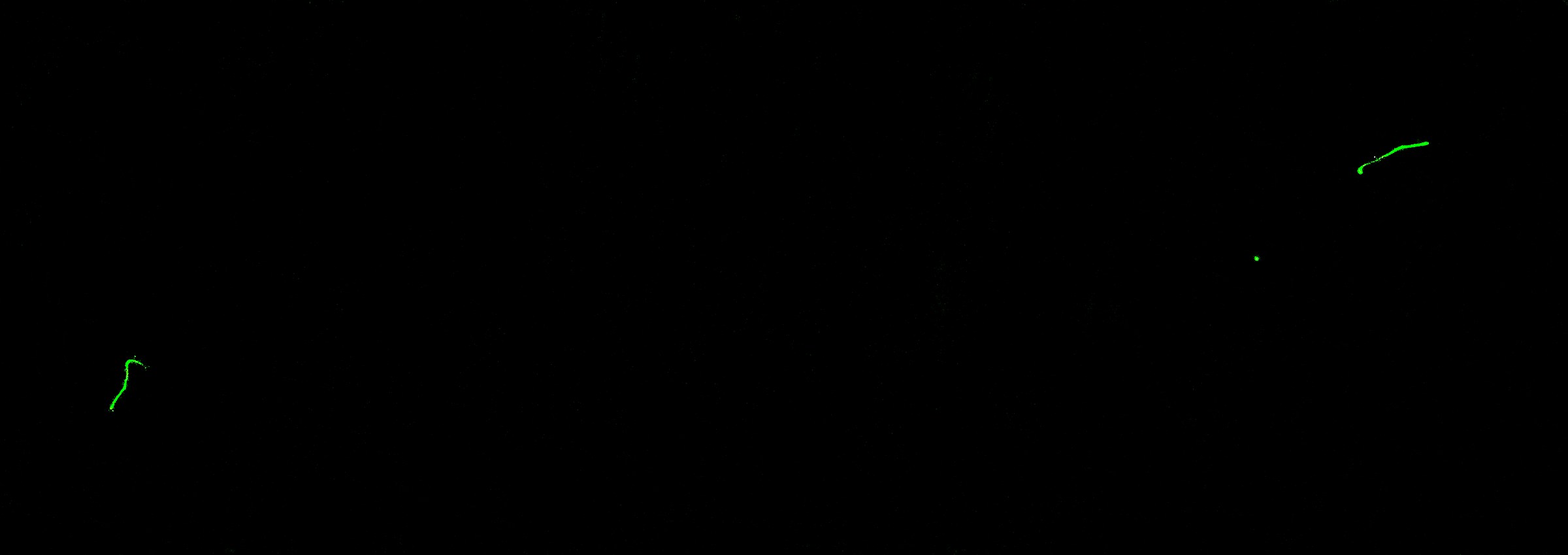 Subtle signs of life .....