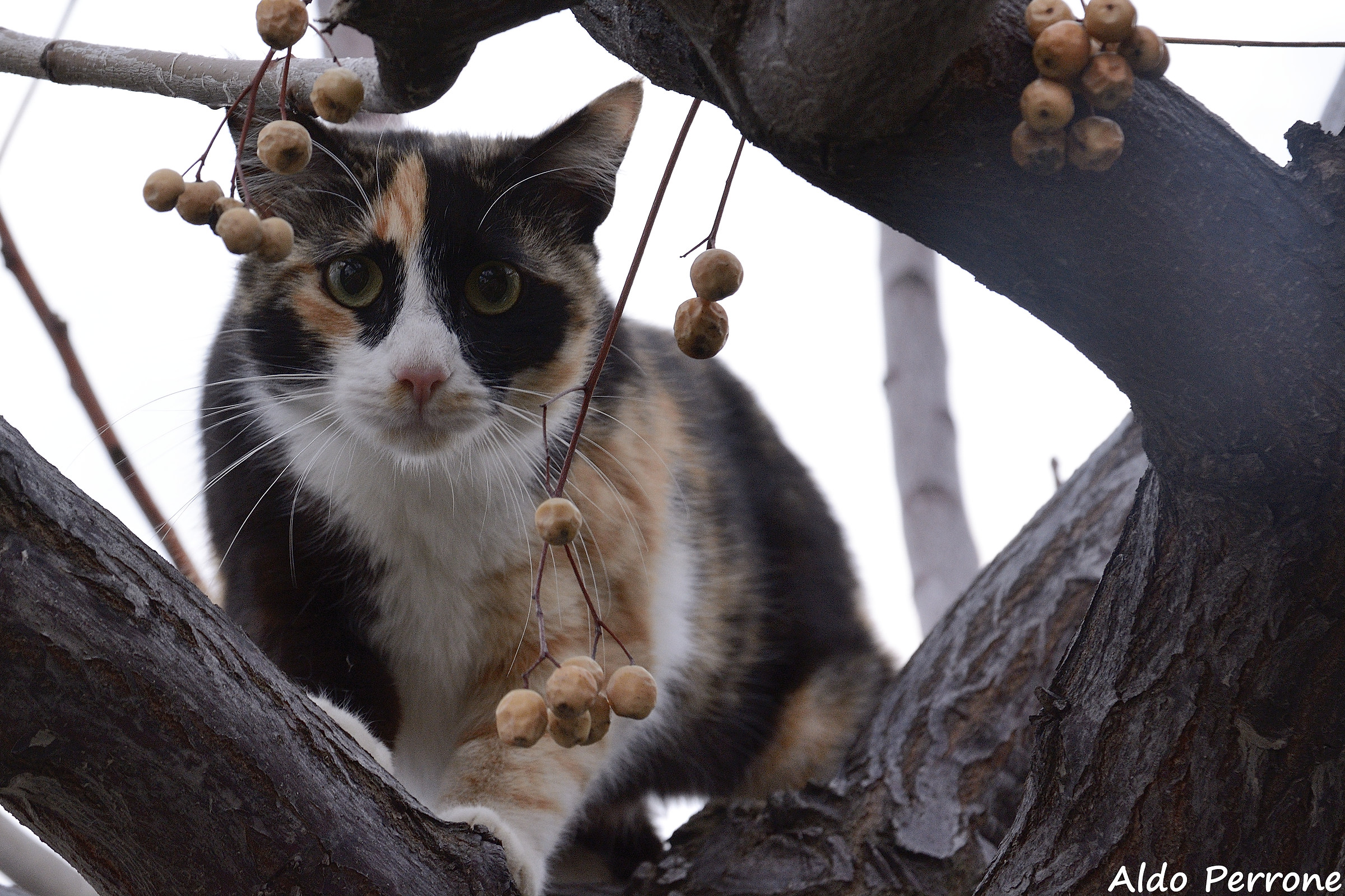 Non è un nascondiglio sicuro