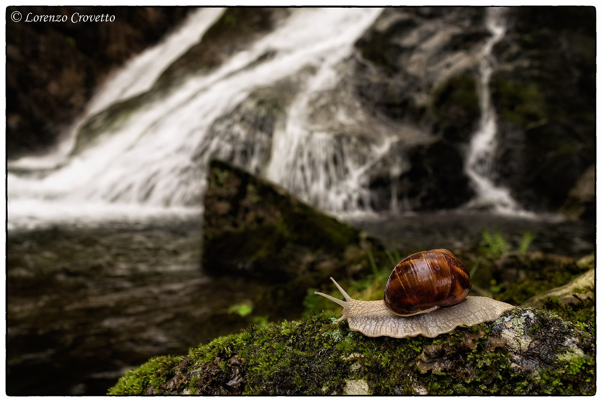 Esplorando il Mondo...Lentamente