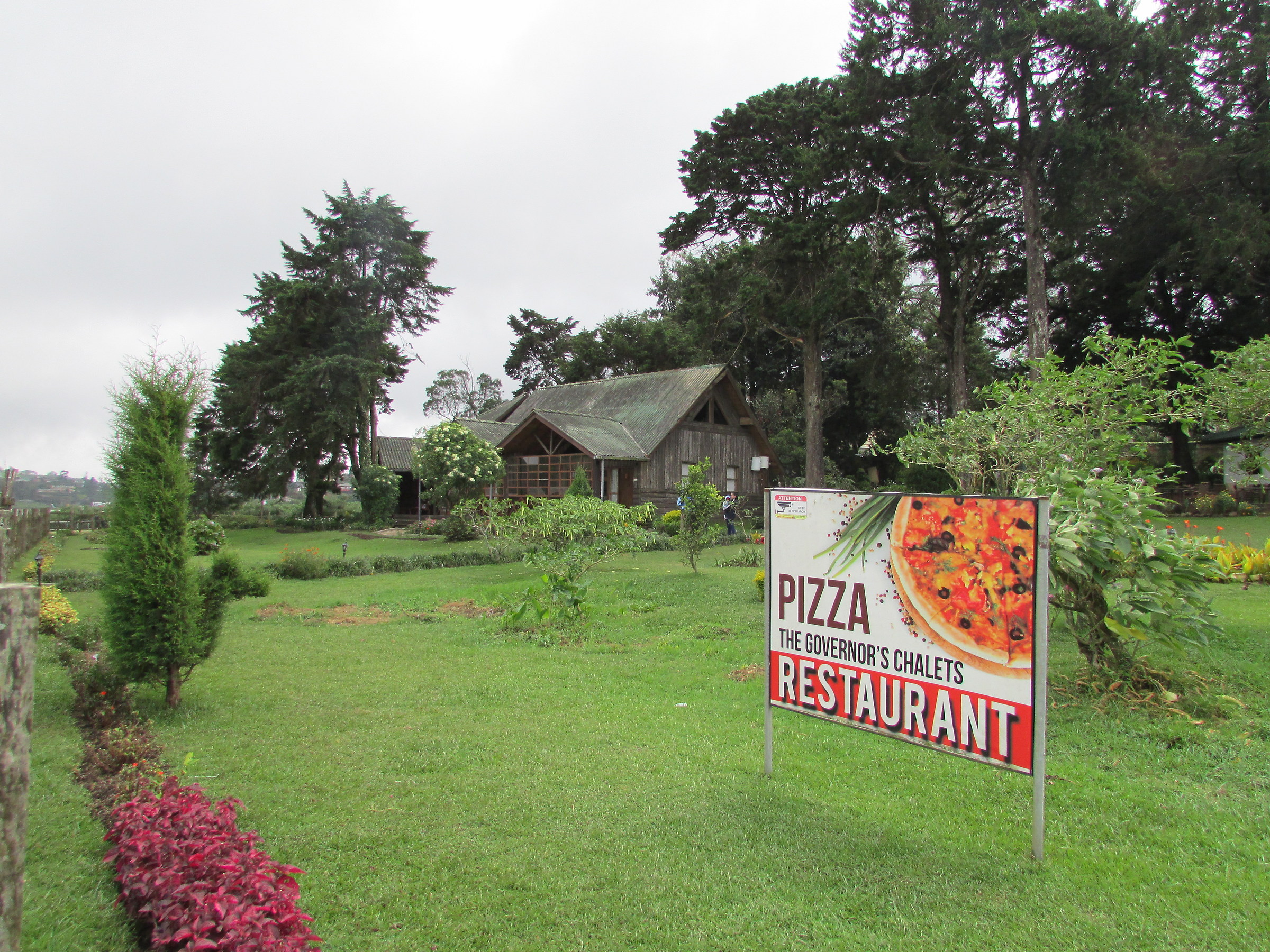 The pizza is everywhere