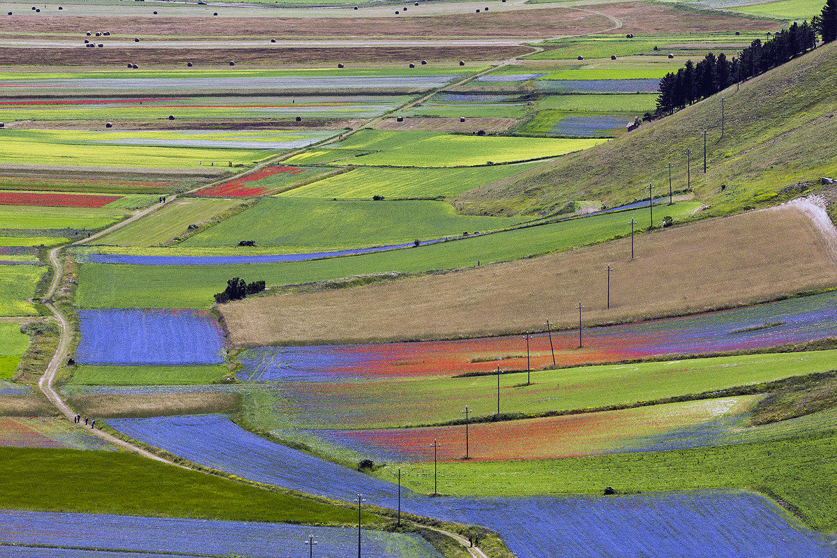 and 'always time to bale!